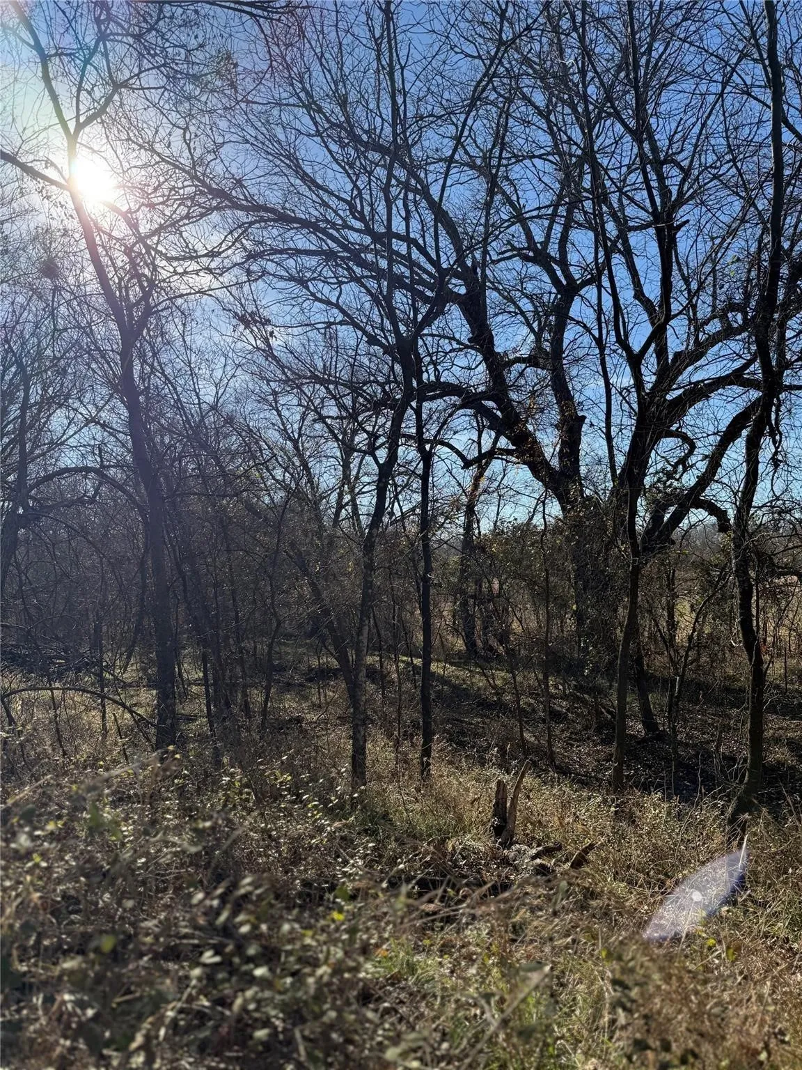 Improved Land For Sale in Cooke County , Lot 4 TBD Hidden Valley Road, Valley View, Texas 76272, 0, 0, Garage spaces, 0 Sqft, built in 0, mls#21141834, Real Estate Agent in Valley View, Homes For Sale in Cooke county, Homes For Sale in Valley View, Realtor in Valley View Texas, Real Estate Brokerage Independent Realty Texas, Luminita Cordes Realtor