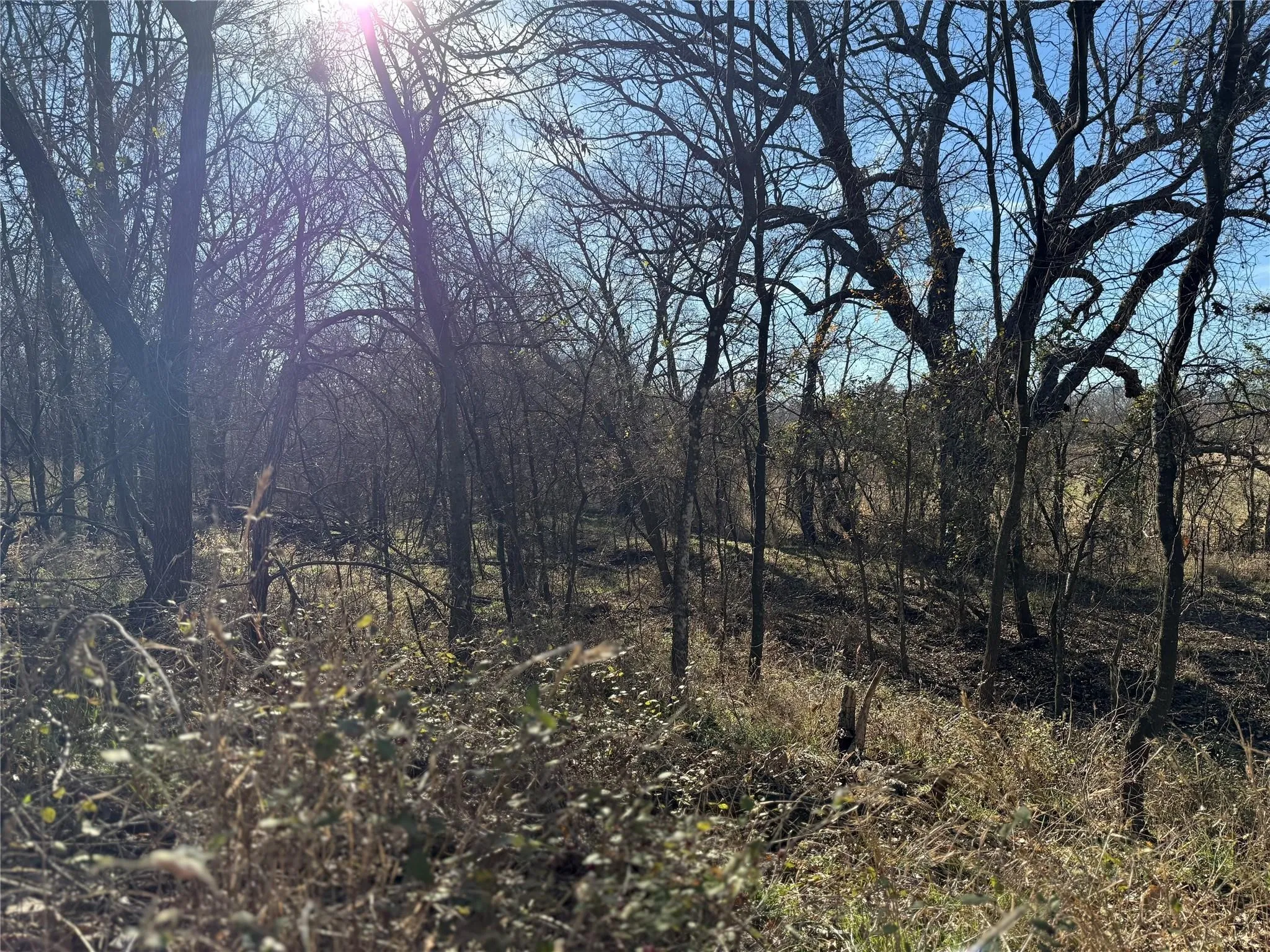 Lot 5