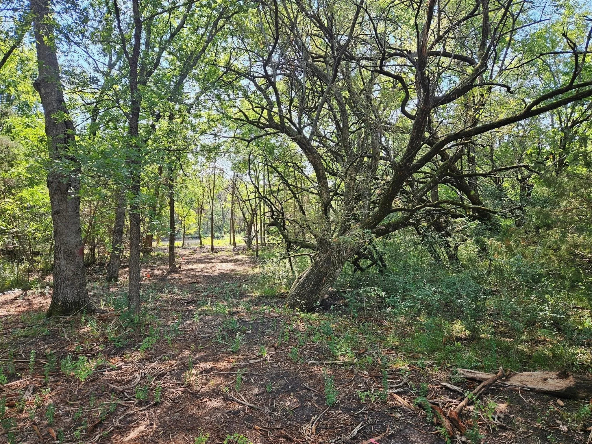 Improved Land For Sale in Lamar County , 0 Hayfield Court, Paris, Texas 75460, 0, 0, Garage spaces, 0 Sqft, built in 0, mls#21148395, Real Estate Agent in Paris, Homes For Sale in Lamar county, Homes For Sale in Paris, Realtor in Paris Texas, Real Estate Brokerage Independent Realty Texas, Luminita Cordes Realtor