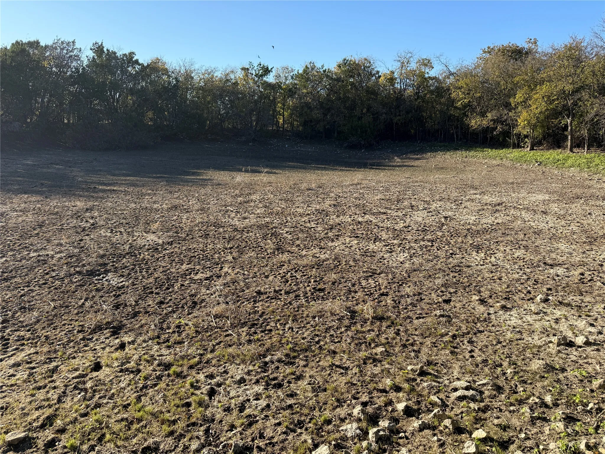 Unimproved Land For Sale in Coryell County , No # County Road 225, Valley Mills, Texas 76689, 0, 0, Garage spaces, 0 Sqft, built in 0, mls#21148585, Real Estate Agent in Valley Mills, Homes For Sale in Coryell county, Homes For Sale in Valley Mills, Realtor in Valley Mills Texas, Real Estate Brokerage Independent Realty Texas, Luminita Cordes Realtor
