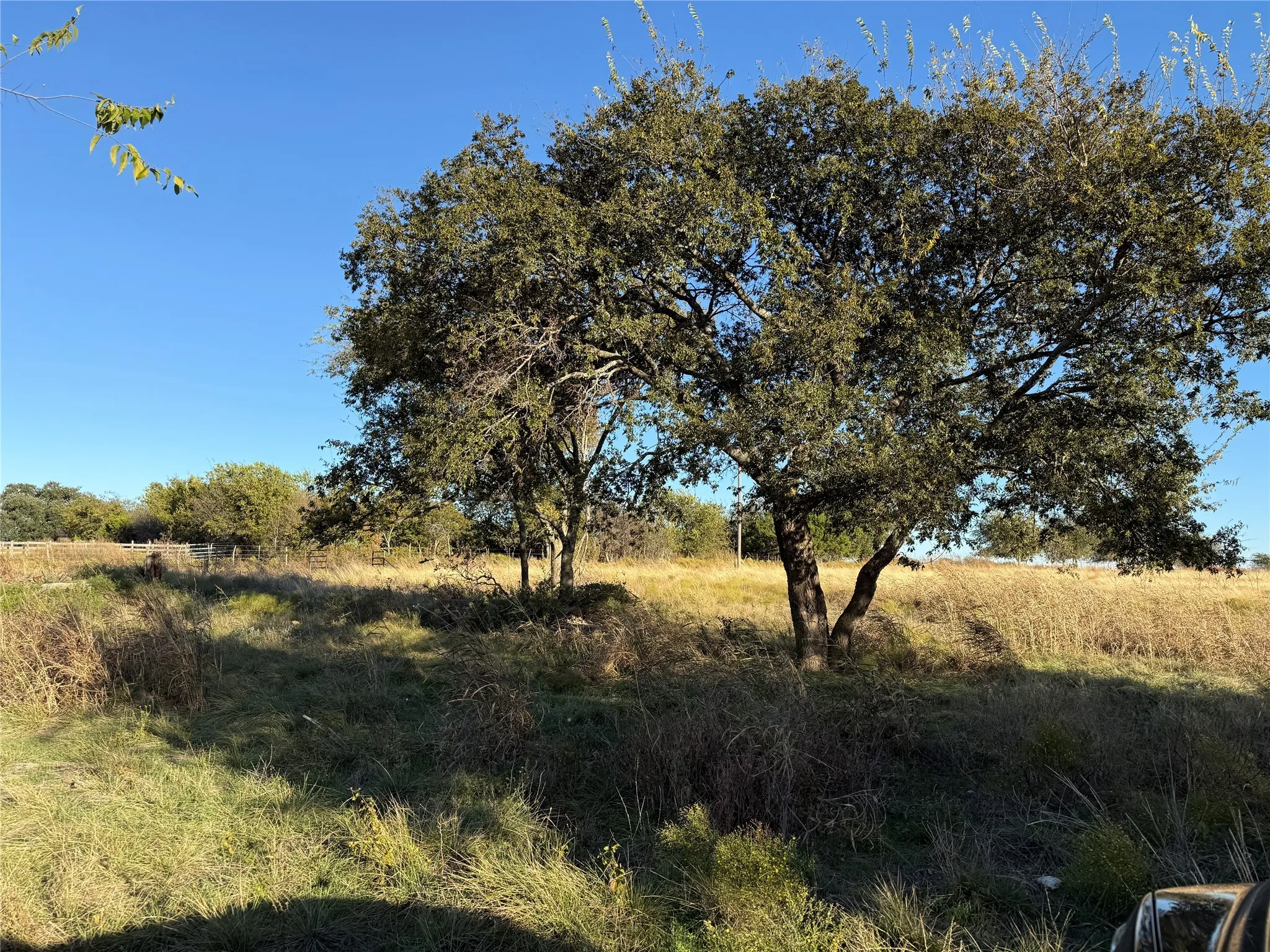 Unimproved Land For Sale in Coryell County , No # County Road 225, Valley Mills, Texas 76689, 0, 0, Garage spaces, 0 Sqft, built in 0, mls#21148585, Real Estate Agent in Valley Mills, Homes For Sale in Coryell county, Homes For Sale in Valley Mills, Realtor in Valley Mills Texas, Real Estate Brokerage Independent Realty Texas, Luminita Cordes Realtor