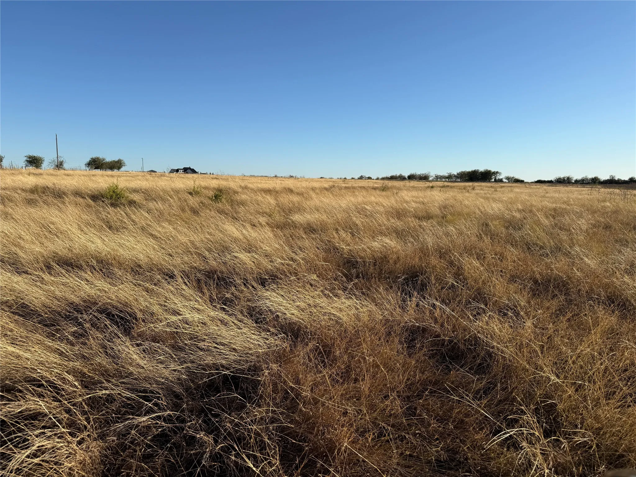Unimproved Land For Sale in Coryell County , No # County Road 225, Valley Mills, Texas 76689, 0, 0, Garage spaces, 0 Sqft, built in 0, mls#21148585, Real Estate Agent in Valley Mills, Homes For Sale in Coryell county, Homes For Sale in Valley Mills, Realtor in Valley Mills Texas, Real Estate Brokerage Independent Realty Texas, Luminita Cordes Realtor