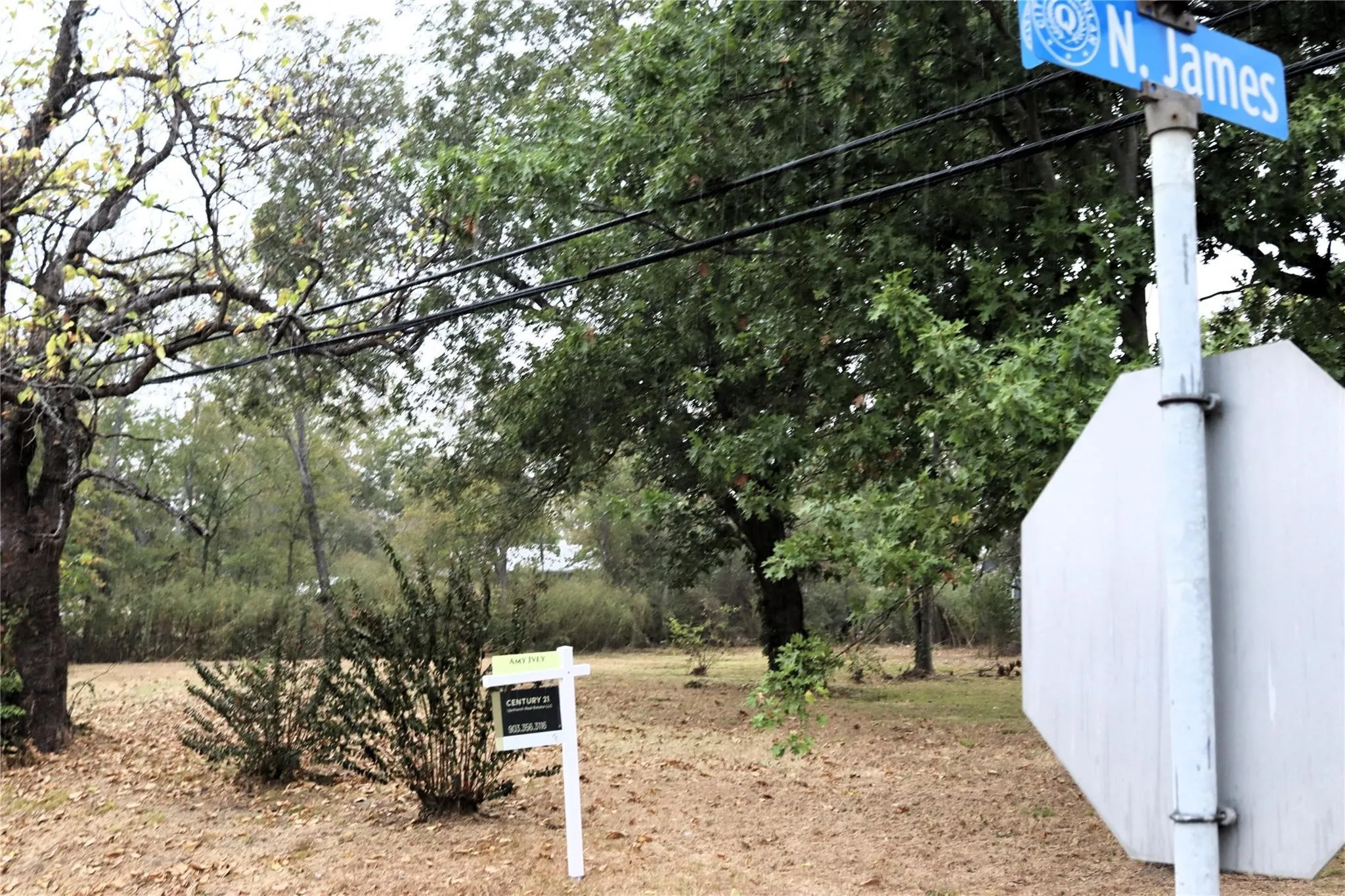 Unimproved Land For Sale in Hunt County , 500 W Main Street, Quinlan, Texas 75474, 0, 0, Garage spaces, 0 Sqft, built in 0, mls#21148666, Real Estate Agent in Quinlan, Homes For Sale in Hunt county, Homes For Sale in Quinlan, Realtor in Quinlan Texas, Real Estate Brokerage Independent Realty Texas, Luminita Cordes Realtor