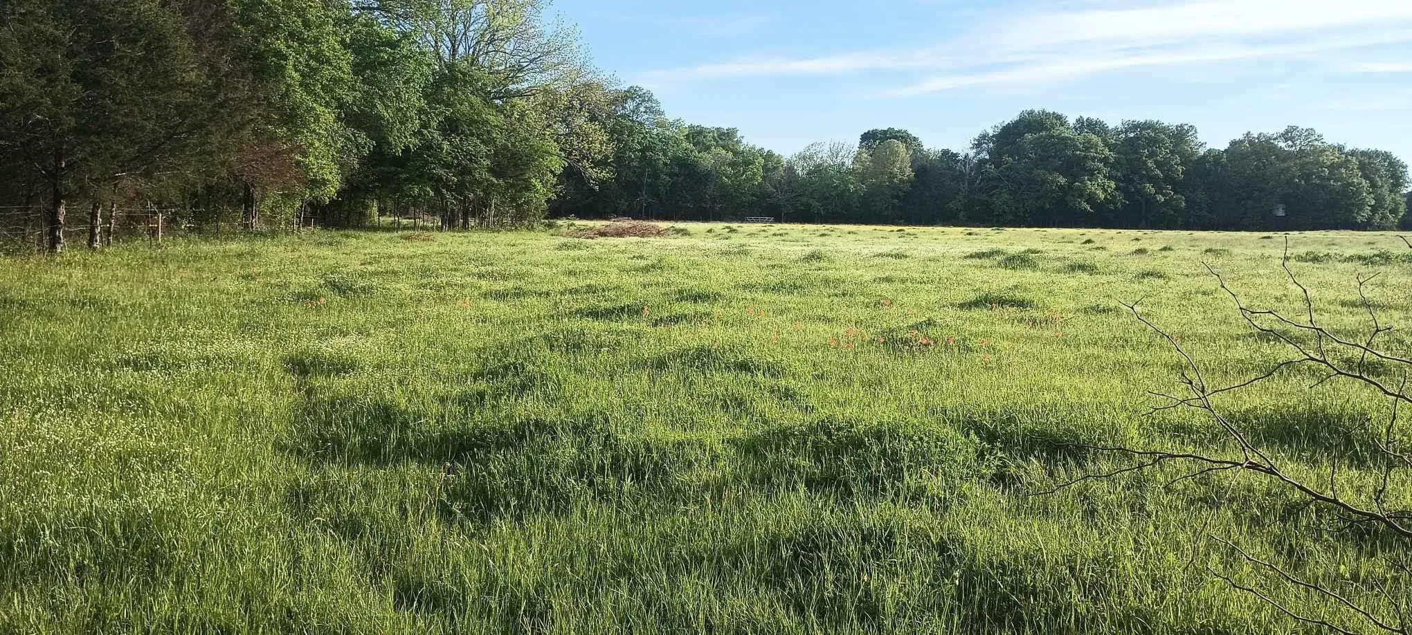 Improved Land For Sale in Kaufman County , 15713 County Road 4015, Mabank, Texas 75147, 0, 0, Garage spaces, 0 Sqft, built in 0, Price $799,000, mls#21148815, Real Estate Agent in Mabank, Homes For Sale in Kaufman county, Homes For Sale in Mabank, Realtor in Mabank Texas, Real Estate Brokerage Independent Realty Texas, Luminita Cordes Realtor
