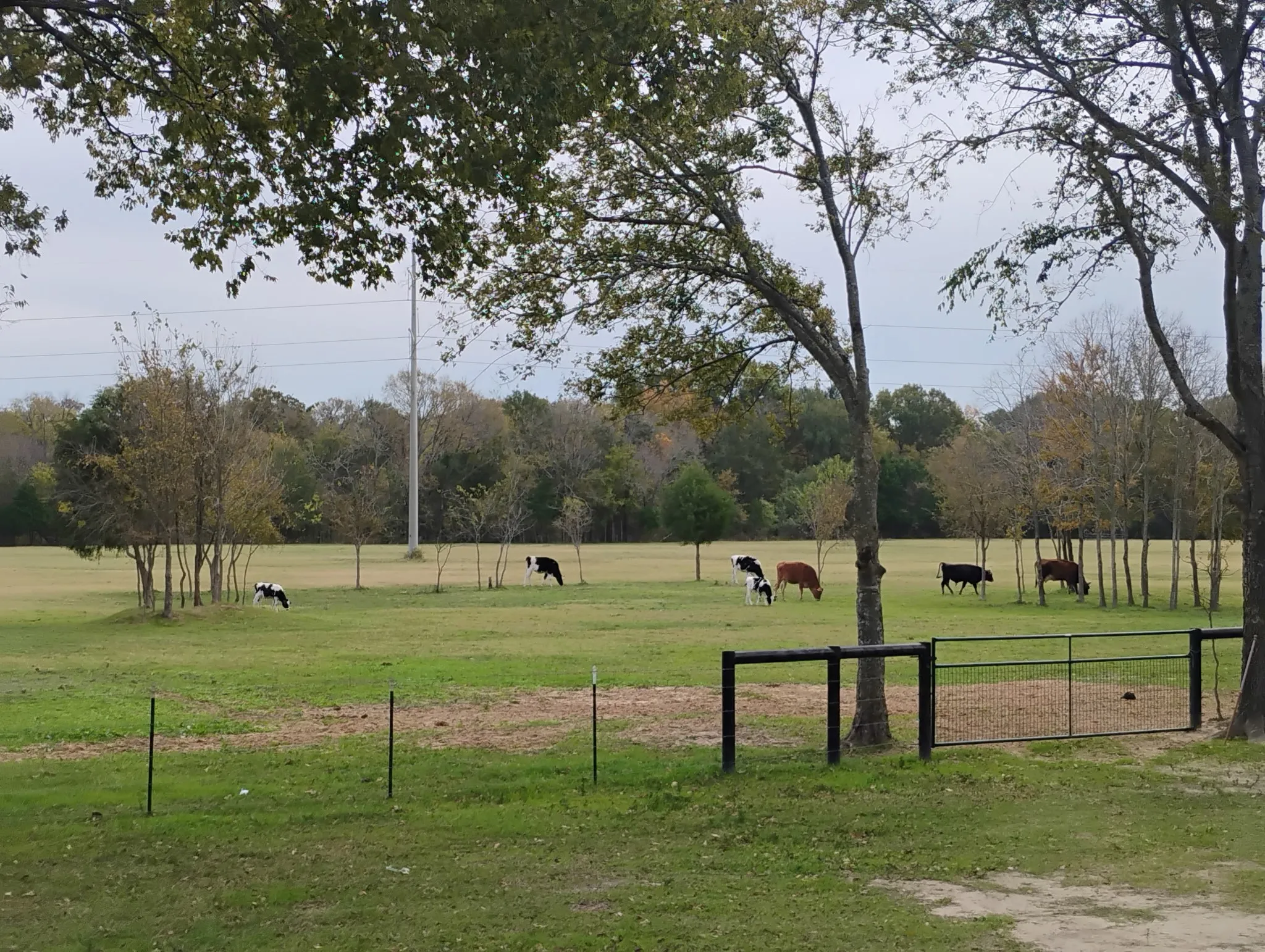 Improved Land For Sale in Kaufman County , 15713 County Road 4015, Mabank, Texas 75147, 0, 0, Garage spaces, 0 Sqft, built in 0, Price $799,000, mls#21148815, Real Estate Agent in Mabank, Homes For Sale in Kaufman county, Homes For Sale in Mabank, Realtor in Mabank Texas, Real Estate Brokerage Independent Realty Texas, Luminita Cordes Realtor