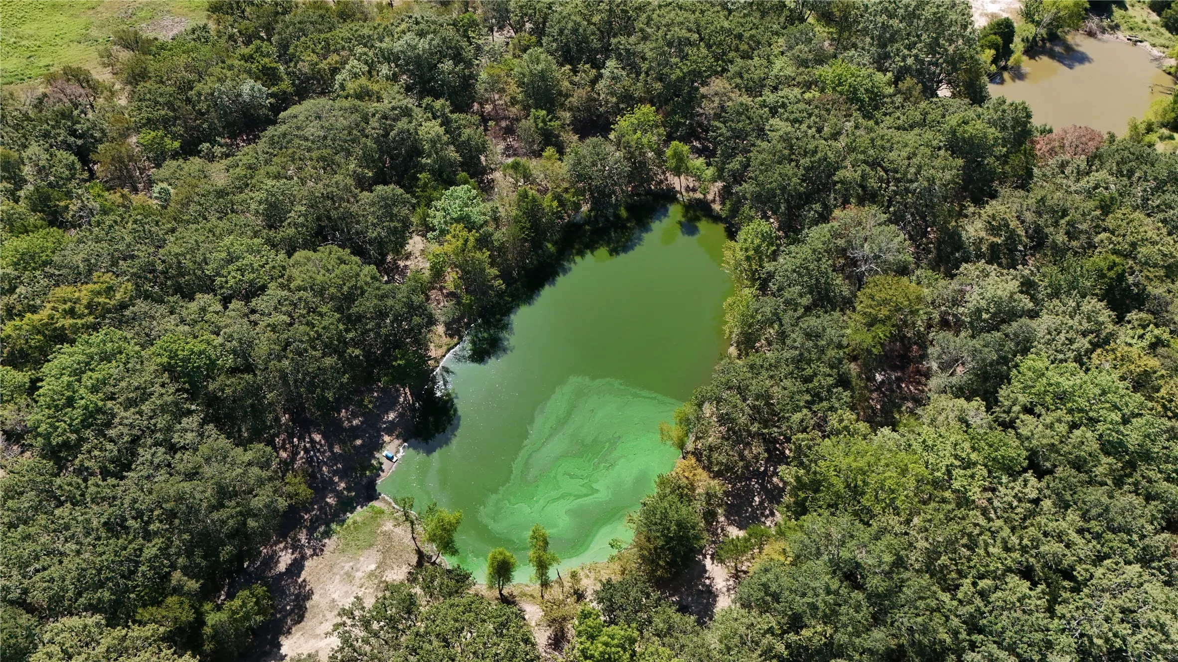 Improved Land For Sale in Kaufman County , 15713 County Road 4015, Mabank, Texas 75147, 0, 0, Garage spaces, 0 Sqft, built in 0, Price $799,000, mls#21148815, Real Estate Agent in Mabank, Homes For Sale in Kaufman county, Homes For Sale in Mabank, Realtor in Mabank Texas, Real Estate Brokerage Independent Realty Texas, Luminita Cordes Realtor