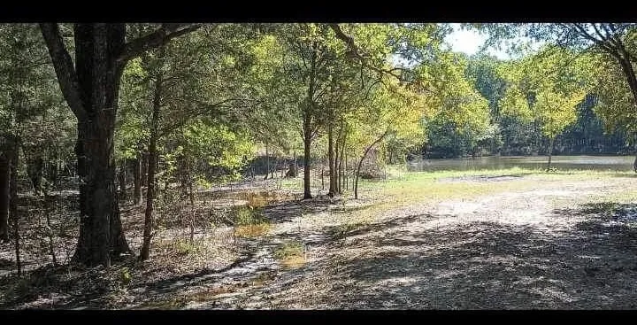 Improved Land For Sale in Kaufman County , 15713 County Road 4015, Mabank, Texas 75147, 0, 0, Garage spaces, 0 Sqft, built in 0, Price $799,000, mls#21148815, Real Estate Agent in Mabank, Homes For Sale in Kaufman county, Homes For Sale in Mabank, Realtor in Mabank Texas, Real Estate Brokerage Independent Realty Texas, Luminita Cordes Realtor