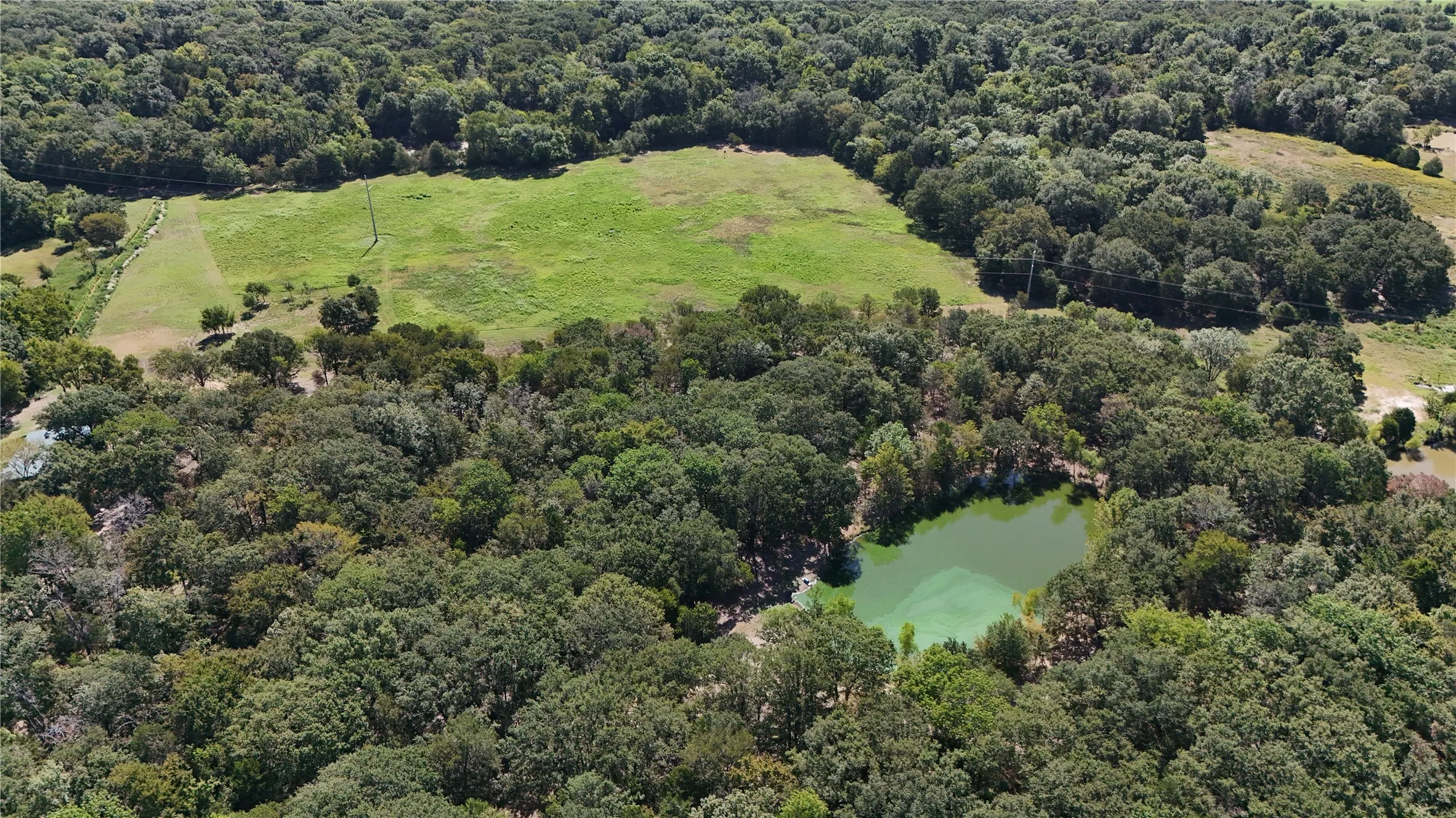 Improved Land For Sale in Kaufman County , 15713 County Road 4015, Mabank, Texas 75147, 0, 0, Garage spaces, 0 Sqft, built in 0, Price $799,000, mls#21148815, Real Estate Agent in Mabank, Homes For Sale in Kaufman county, Homes For Sale in Mabank, Realtor in Mabank Texas, Real Estate Brokerage Independent Realty Texas, Luminita Cordes Realtor