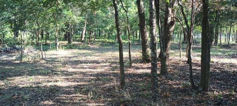 Improved Land For Sale in Kaufman County , 15713 County Road 4015, Mabank, Texas 75147, 0, 0, Garage spaces, 0 Sqft, built in 0, Price $799,000, mls#21148815, Real Estate Agent in Mabank, Homes For Sale in Kaufman county, Homes For Sale in Mabank, Realtor in Mabank Texas, Real Estate Brokerage Independent Realty Texas, Luminita Cordes Realtor