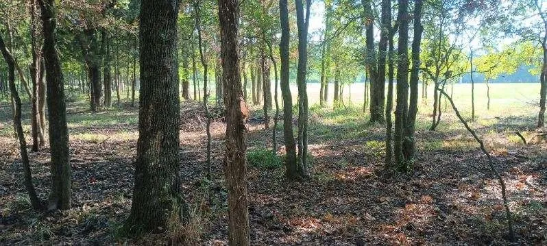 Improved Land For Sale in Kaufman County , 15713 County Road 4015, Mabank, Texas 75147, 0, 0, Garage spaces, 0 Sqft, built in 0, Price $799,000, mls#21148815, Real Estate Agent in Mabank, Homes For Sale in Kaufman county, Homes For Sale in Mabank, Realtor in Mabank Texas, Real Estate Brokerage Independent Realty Texas, Luminita Cordes Realtor