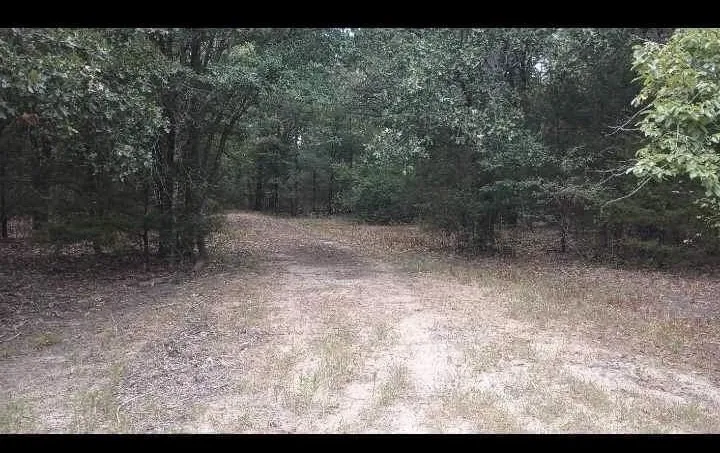 Improved Land For Sale in Kaufman County , 15713 County Road 4015, Mabank, Texas 75147, 0, 0, Garage spaces, 0 Sqft, built in 0, Price $799,000, mls#21148815, Real Estate Agent in Mabank, Homes For Sale in Kaufman county, Homes For Sale in Mabank, Realtor in Mabank Texas, Real Estate Brokerage Independent Realty Texas, Luminita Cordes Realtor
