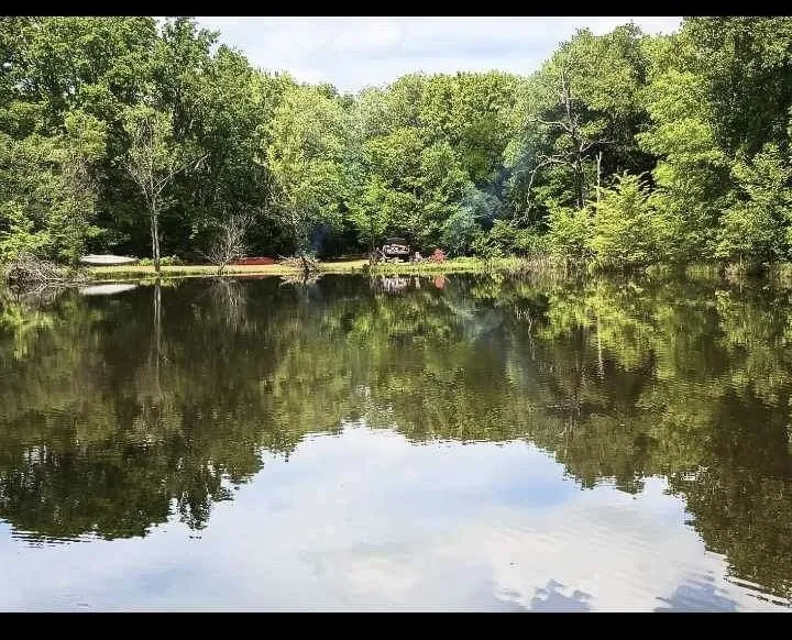 Improved Land For Sale in Kaufman County , 15713 County Road 4015, Mabank, Texas 75147, 0, 0, Garage spaces, 0 Sqft, built in 0, Price $799,000, mls#21148815, Real Estate Agent in Mabank, Homes For Sale in Kaufman county, Homes For Sale in Mabank, Realtor in Mabank Texas, Real Estate Brokerage Independent Realty Texas, Luminita Cordes Realtor
