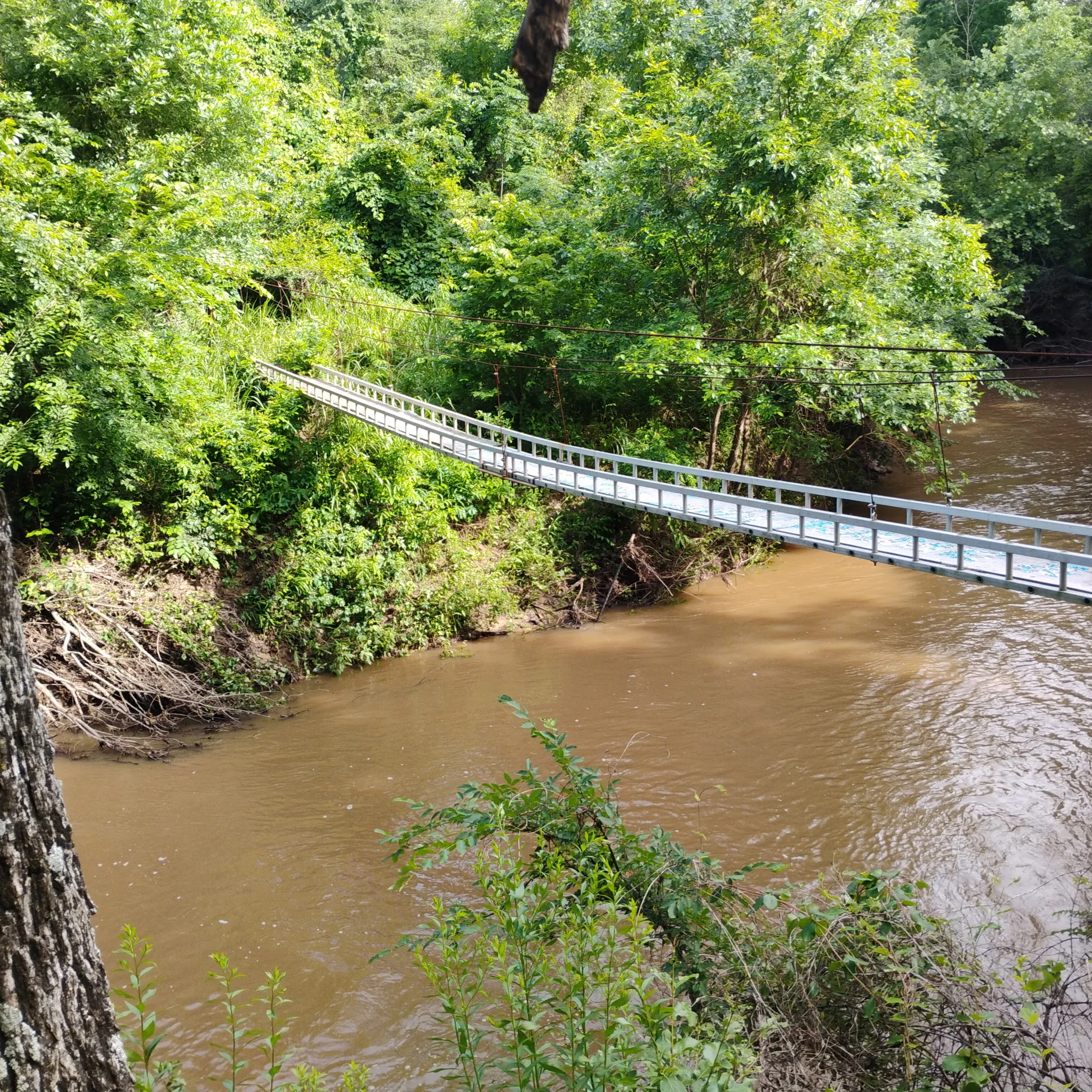 bridge over the creek leading to rest of property