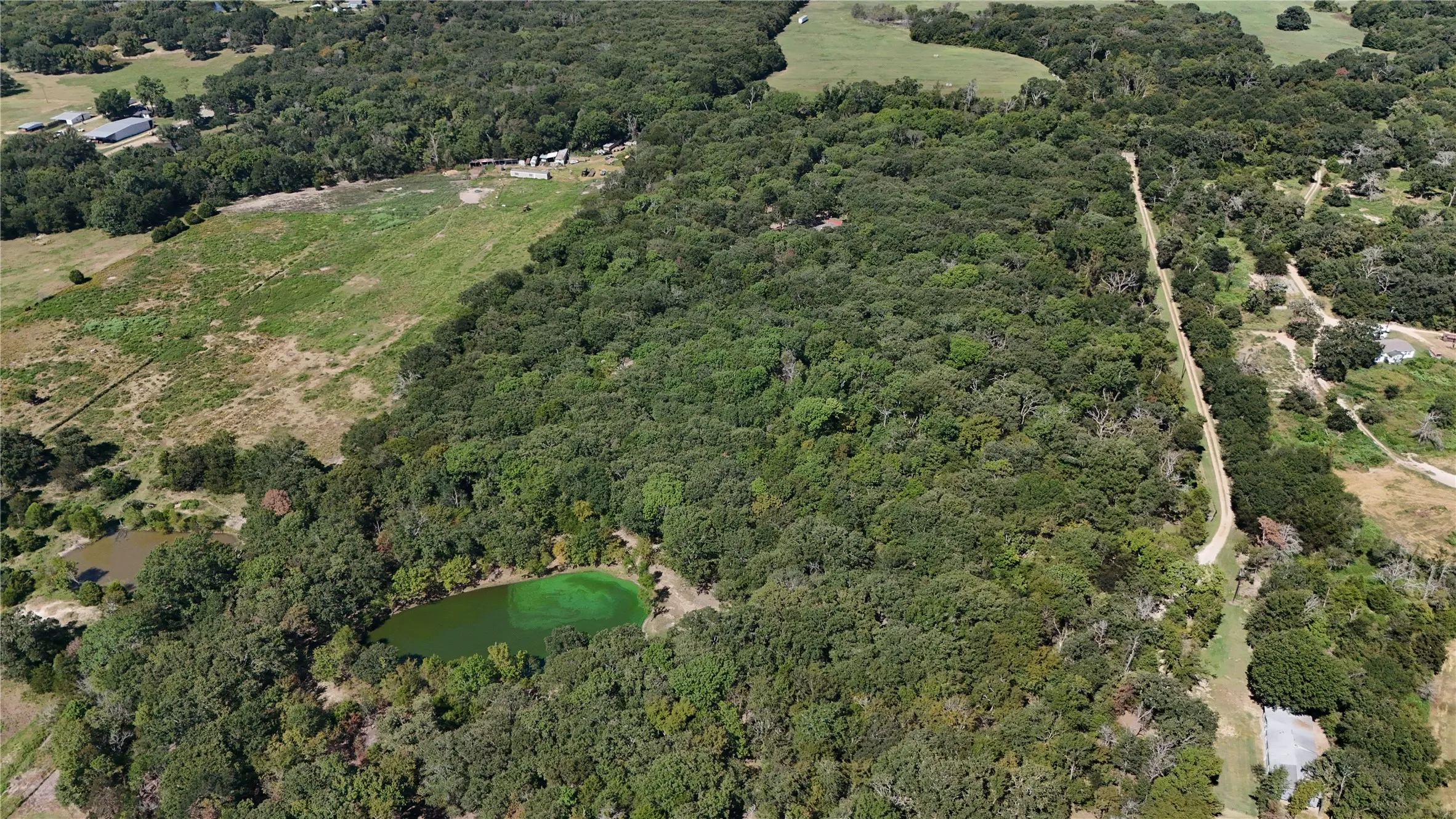 Improved Land For Sale in Kaufman County , 15713 County Road 4015, Mabank, Texas 75147, 0, 0, Garage spaces, 0 Sqft, built in 0, Price $799,000, mls#21148815, Real Estate Agent in Mabank, Homes For Sale in Kaufman county, Homes For Sale in Mabank, Realtor in Mabank Texas, Real Estate Brokerage Independent Realty Texas, Luminita Cordes Realtor