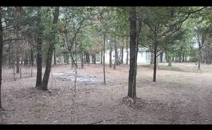Improved Land For Sale in Kaufman County , 15713 County Road 4015, Mabank, Texas 75147, 0, 0, Garage spaces, 0 Sqft, built in 0, Price $799,000, mls#21148815, Real Estate Agent in Mabank, Homes For Sale in Kaufman county, Homes For Sale in Mabank, Realtor in Mabank Texas, Real Estate Brokerage Independent Realty Texas, Luminita Cordes Realtor