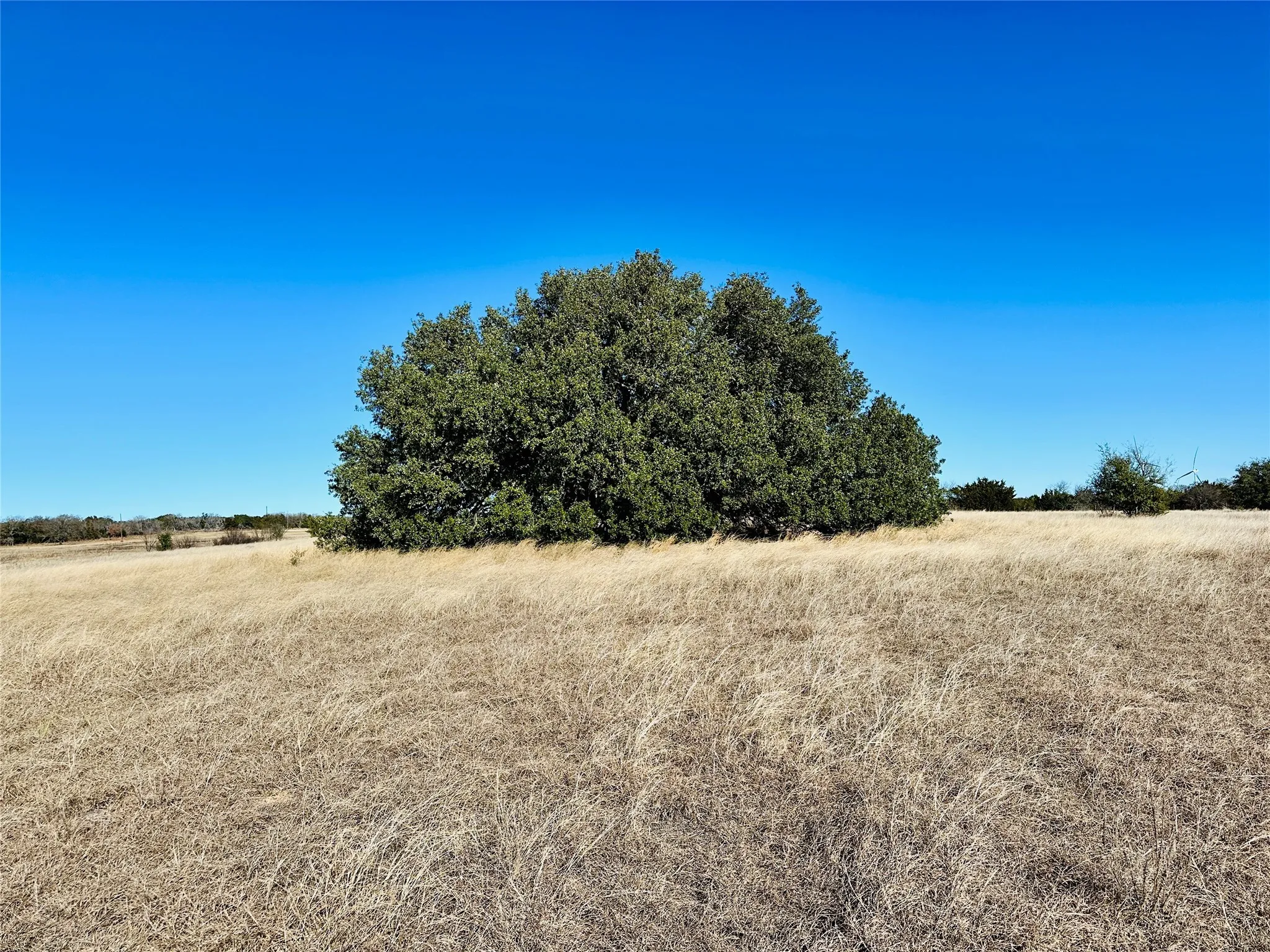 Ranch For Sale in Callahan County , 8655 CR 452, Cross Plains, Texas 76443, 0, 0, Garage spaces, 0 Sqft, built in 0, mls#21148656, Real Estate Agent in Cross Plains, Homes For Sale in Callahan county, Homes For Sale in Cross Plains, Realtor in Cross Plains Texas, Real Estate Brokerage Independent Realty Texas, Luminita Cordes Realtor