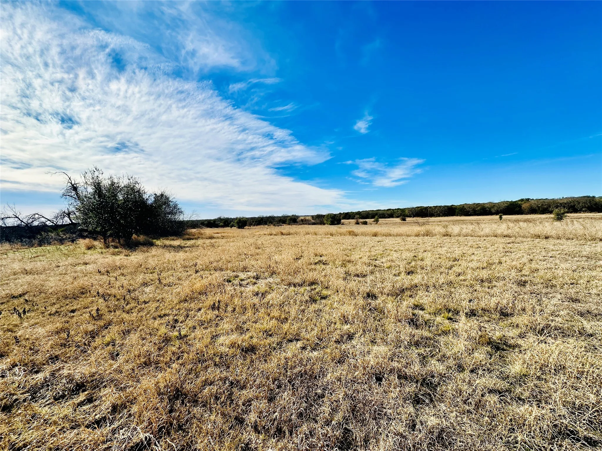Ranch For Sale in Callahan County , 8655 CR 452, Cross Plains, Texas 76443, 0, 0, Garage spaces, 0 Sqft, built in 0, mls#21148656, Real Estate Agent in Cross Plains, Homes For Sale in Callahan county, Homes For Sale in Cross Plains, Realtor in Cross Plains Texas, Real Estate Brokerage Independent Realty Texas, Luminita Cordes Realtor
