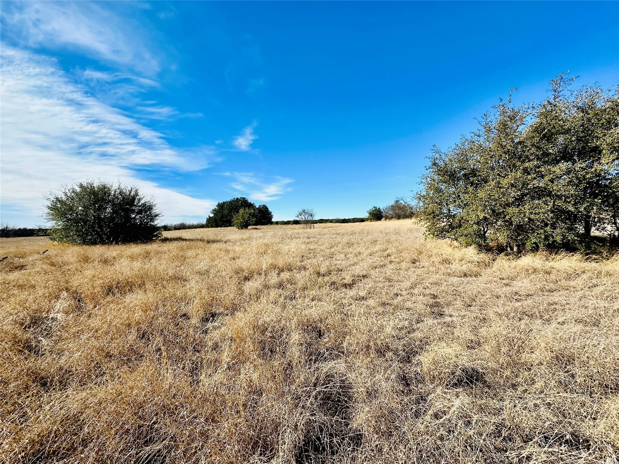 Ranch For Sale in Callahan County , 8655 CR 452, Cross Plains, Texas 76443, 0, 0, Garage spaces, 0 Sqft, built in 0, mls#21148656, Real Estate Agent in Cross Plains, Homes For Sale in Callahan county, Homes For Sale in Cross Plains, Realtor in Cross Plains Texas, Real Estate Brokerage Independent Realty Texas, Luminita Cordes Realtor