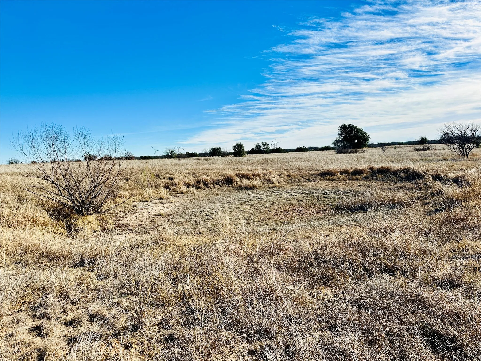 Ranch For Sale in Callahan County , 8655 CR 452, Cross Plains, Texas 76443, 0, 0, Garage spaces, 0 Sqft, built in 0, mls#21148656, Real Estate Agent in Cross Plains, Homes For Sale in Callahan county, Homes For Sale in Cross Plains, Realtor in Cross Plains Texas, Real Estate Brokerage Independent Realty Texas, Luminita Cordes Realtor