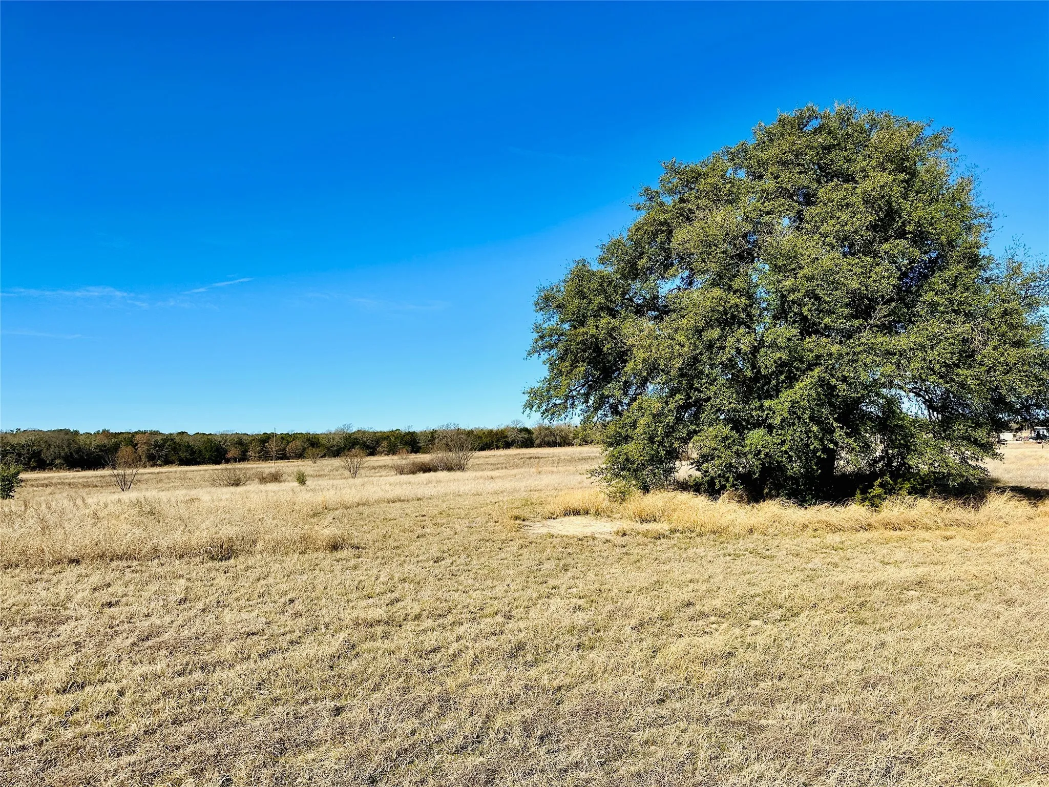 Ranch For Sale in Callahan County , 8655 CR 452, Cross Plains, Texas 76443, 0, 0, Garage spaces, 0 Sqft, built in 0, mls#21148656, Real Estate Agent in Cross Plains, Homes For Sale in Callahan county, Homes For Sale in Cross Plains, Realtor in Cross Plains Texas, Real Estate Brokerage Independent Realty Texas, Luminita Cordes Realtor