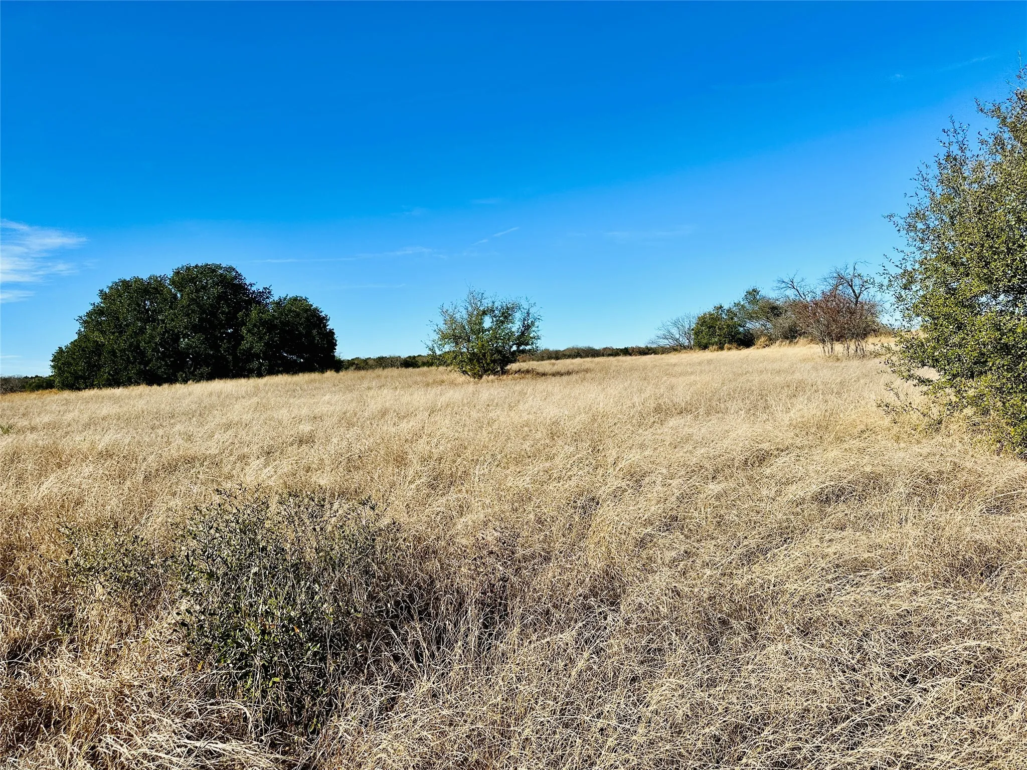 Ranch For Sale in Callahan County , 8655 CR 452, Cross Plains, Texas 76443, 0, 0, Garage spaces, 0 Sqft, built in 0, mls#21148656, Real Estate Agent in Cross Plains, Homes For Sale in Callahan county, Homes For Sale in Cross Plains, Realtor in Cross Plains Texas, Real Estate Brokerage Independent Realty Texas, Luminita Cordes Realtor