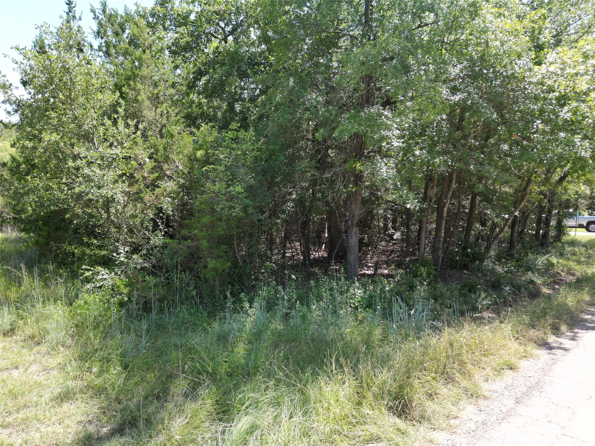 Unimproved Land For Sale in Hood County , 3613 Utah Trail, Granbury, Texas 76048, 0, 0, Garage spaces, 0 Sqft, built in 0, Price $15,000, mls#21148888, Real Estate Agent in Granbury, Homes For Sale in Hood county, Homes For Sale in Granbury, Realtor in Granbury Texas, Real Estate Brokerage Independent Realty Texas, Luminita Cordes Realtor
