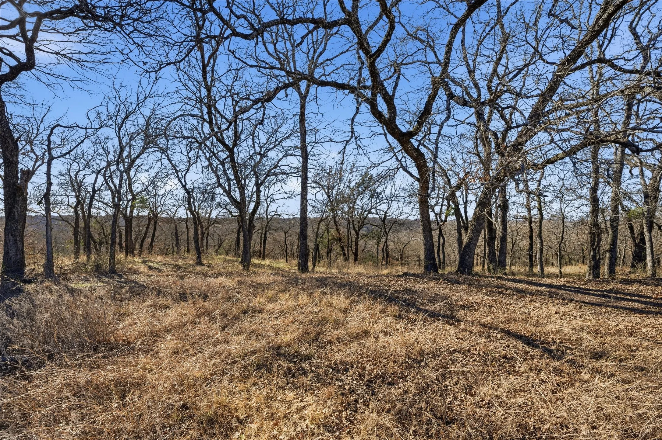Improved Land For Sale in Mc Lennan County , TBD Tokio Road, West, Texas 76691, 0, 0, Garage spaces, 0 Sqft, built in 0, Price $420,000, mls#21149075, Real Estate Agent in West, Homes For Sale in Mc Lennan county, Homes For Sale in West, Realtor in West Texas, Real Estate Brokerage Independent Realty Texas, Luminita Cordes Realtor