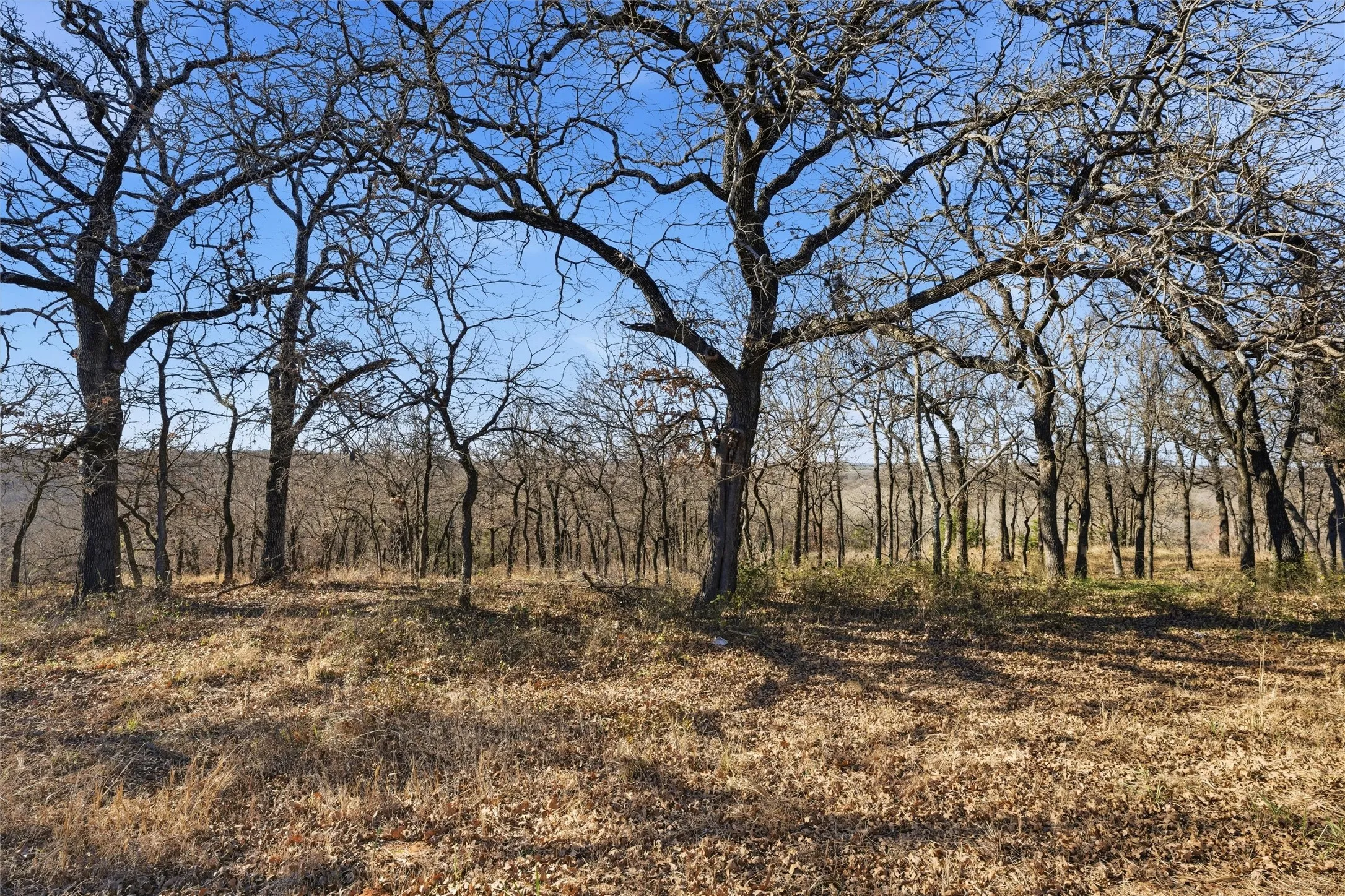 Improved Land For Sale in Mc Lennan County , TBD Tokio Road, West, Texas 76691, 0, 0, Garage spaces, 0 Sqft, built in 0, Price $420,000, mls#21149075, Real Estate Agent in West, Homes For Sale in Mc Lennan county, Homes For Sale in West, Realtor in West Texas, Real Estate Brokerage Independent Realty Texas, Luminita Cordes Realtor