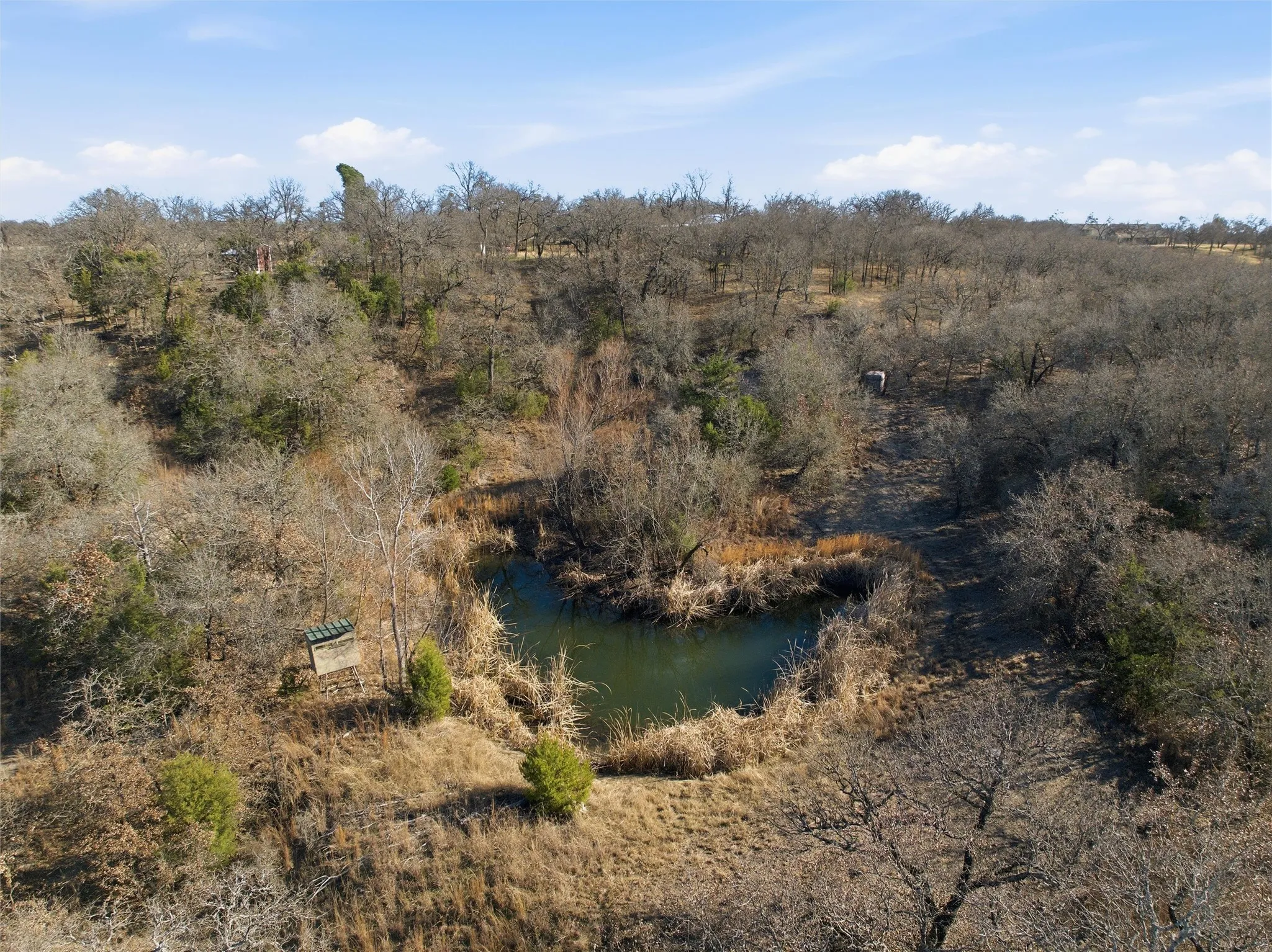 Improved Land For Sale in Mc Lennan County , TBD Tokio Road, West, Texas 76691, 0, 0, Garage spaces, 0 Sqft, built in 0, Price $420,000, mls#21149075, Real Estate Agent in West, Homes For Sale in Mc Lennan county, Homes For Sale in West, Realtor in West Texas, Real Estate Brokerage Independent Realty Texas, Luminita Cordes Realtor