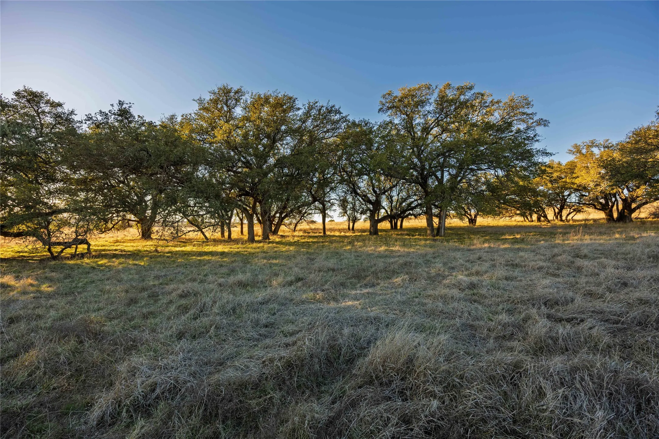 Unimproved Land For Sale in Comanche County , TBD Comanche Lake Road, Comanche, Texas 76442, 0, 0, Garage spaces, 0 Sqft, built in 0, Price $99,000, mls#21145952, Real Estate Agent in Comanche, Homes For Sale in Comanche county, Homes For Sale in Comanche, Realtor in Comanche Texas, Real Estate Brokerage Independent Realty Texas, Luminita Cordes Realtor