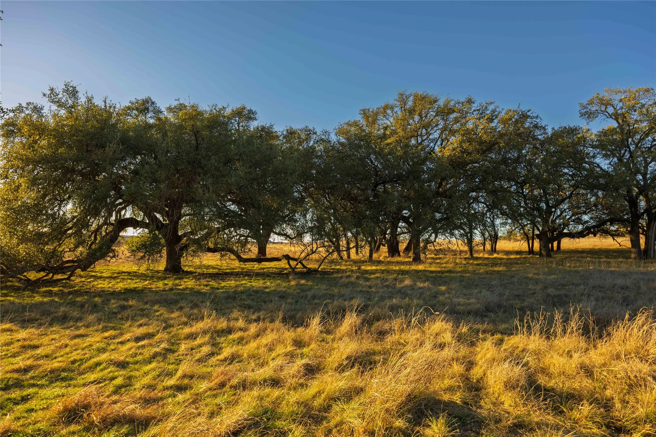 Unimproved Land For Sale in Comanche County , TBD Comanche Lake Road, Comanche, Texas 76442, 0, 0, Garage spaces, 0 Sqft, built in 0, Price $99,000, mls#21145952, Real Estate Agent in Comanche, Homes For Sale in Comanche county, Homes For Sale in Comanche, Realtor in Comanche Texas, Real Estate Brokerage Independent Realty Texas, Luminita Cordes Realtor