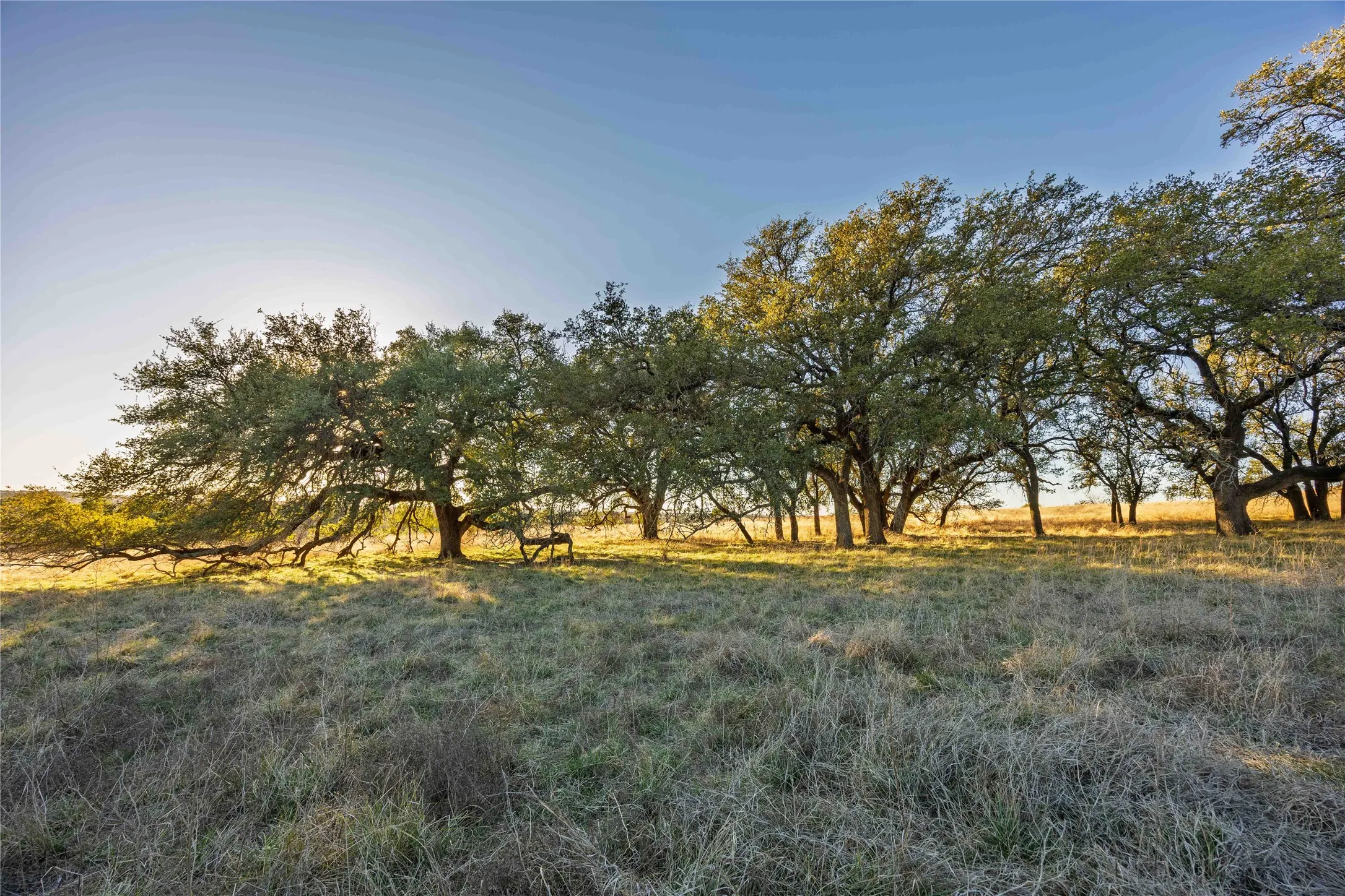 Unimproved Land For Sale in Comanche County , TBD Comanche Lake Road, Comanche, Texas 76442, 0, 0, Garage spaces, 0 Sqft, built in 0, Price $99,000, mls#21145952, Real Estate Agent in Comanche, Homes For Sale in Comanche county, Homes For Sale in Comanche, Realtor in Comanche Texas, Real Estate Brokerage Independent Realty Texas, Luminita Cordes Realtor