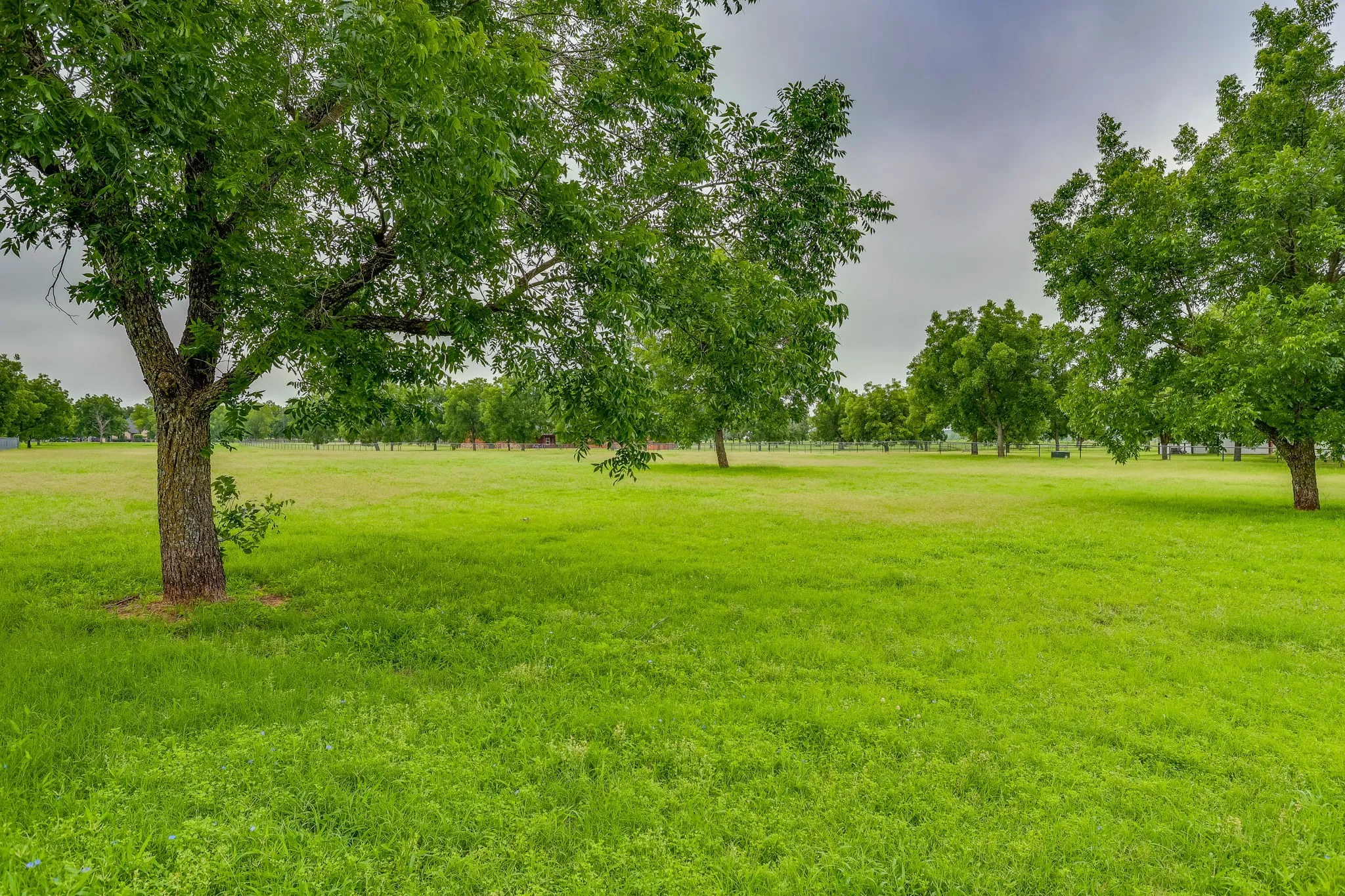 Expansive green space featuring mature trees and open fields