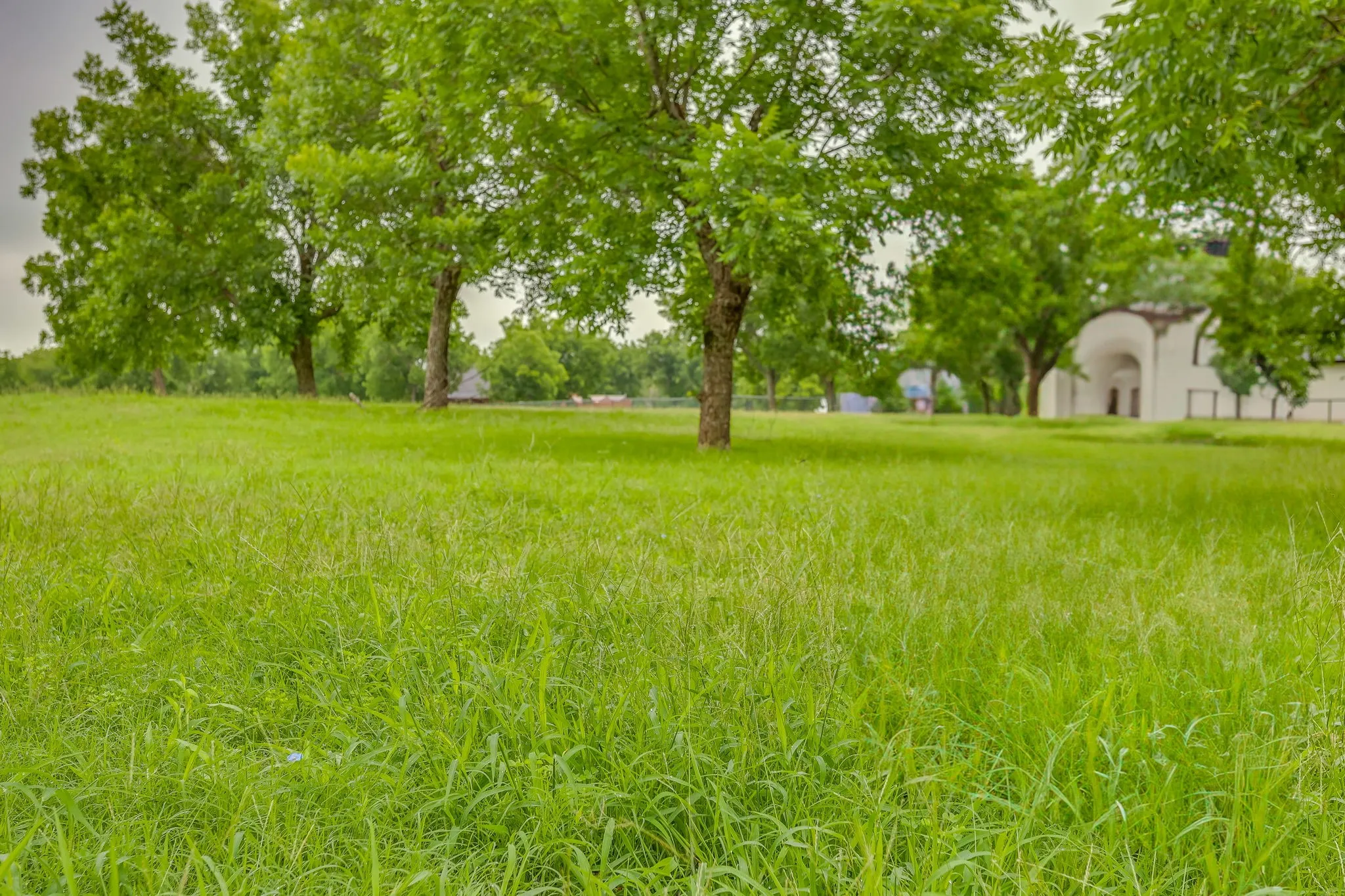 Expansive green lawn with mature trees and a distant building featuring arched openings