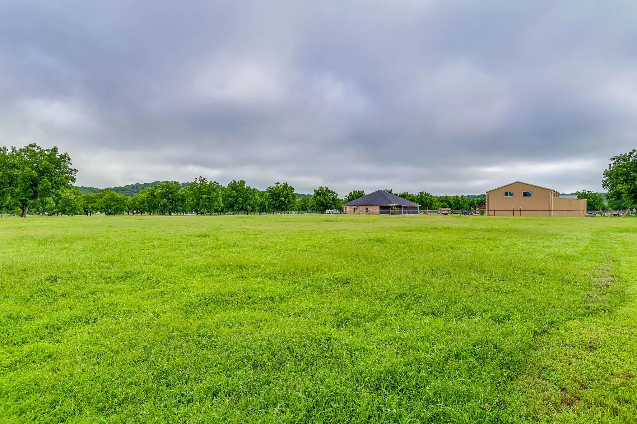 Expansive green pasture with a tree line border