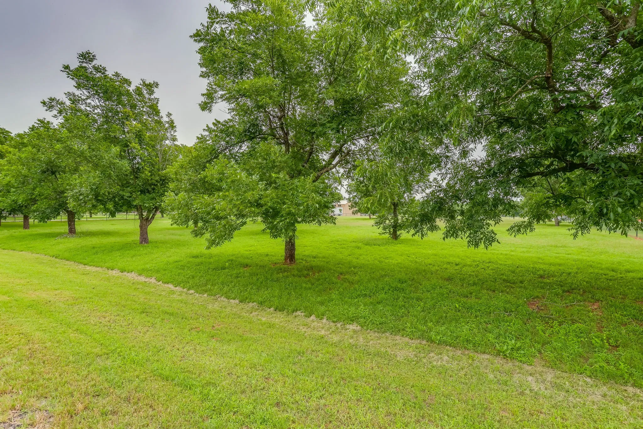 Expansive green space featuring a grass lawn and mature trees