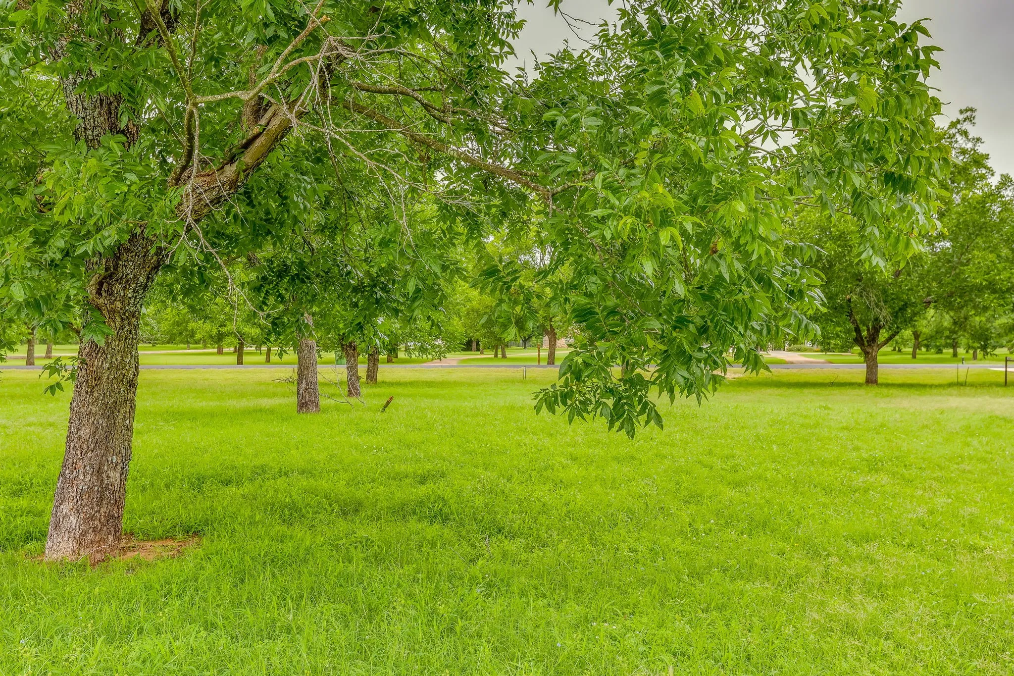 Unimproved Land For Sale in Hood County , 11015 Orchards Boulevard, Cleburne, Texas 76033, 0, 0, Garage spaces, 0 Sqft, built in 0, Price $144,990, mls#21148991, Real Estate Agent in Cleburne, Homes For Sale in Hood county, Homes For Sale in Cleburne, Realtor in Cleburne Texas, Real Estate Brokerage Independent Realty Texas, Luminita Cordes Realtor