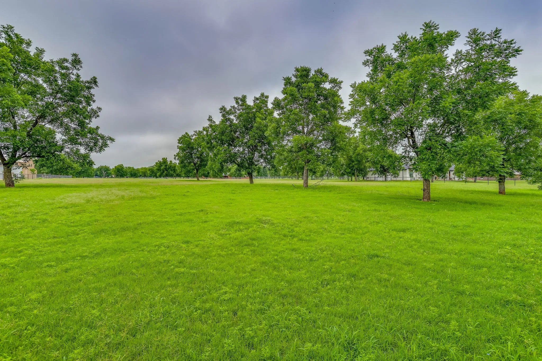 Expansive green space featuring mature trees and a vast grassy area