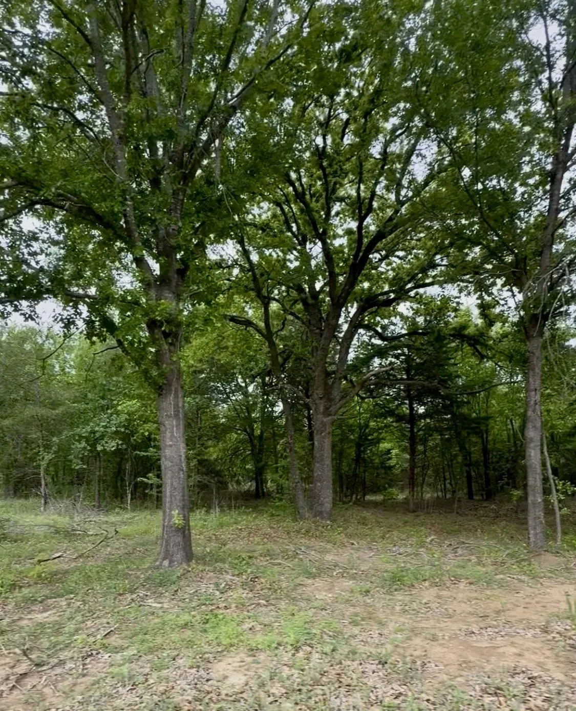 Single Family Residence For Sale in Ellis County , TBD 5 Slate Rock Road, Ennis, Texas 75119, 3 Bedroom, 2 Bathroom, 2 Garage spaces, 1,800 Sqft, built in 2026, mls#21149327, Real Estate Agent in Ennis, Homes For Sale in Ellis county, Homes For Sale in Ennis, Realtor in Ennis Texas, Real Estate Brokerage Independent Realty Texas, Luminita Cordes Realtor