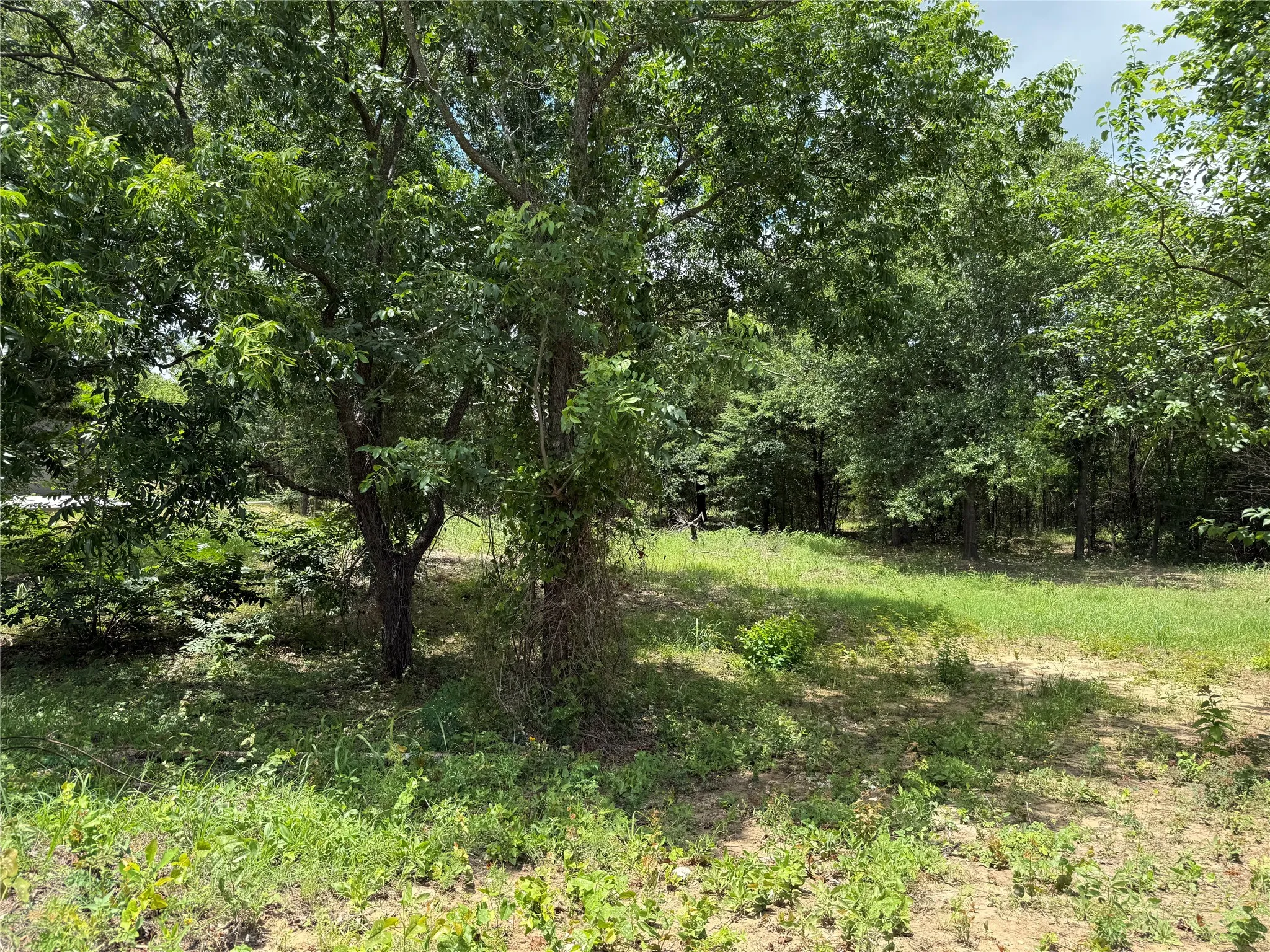 Single Family Residence For Sale in Ellis County , TBD 5 Slate Rock Road, Ennis, Texas 75119, 3 Bedroom, 2 Bathroom, 2 Garage spaces, 1,800 Sqft, built in 2026, mls#21149327, Real Estate Agent in Ennis, Homes For Sale in Ellis county, Homes For Sale in Ennis, Realtor in Ennis Texas, Real Estate Brokerage Independent Realty Texas, Luminita Cordes Realtor