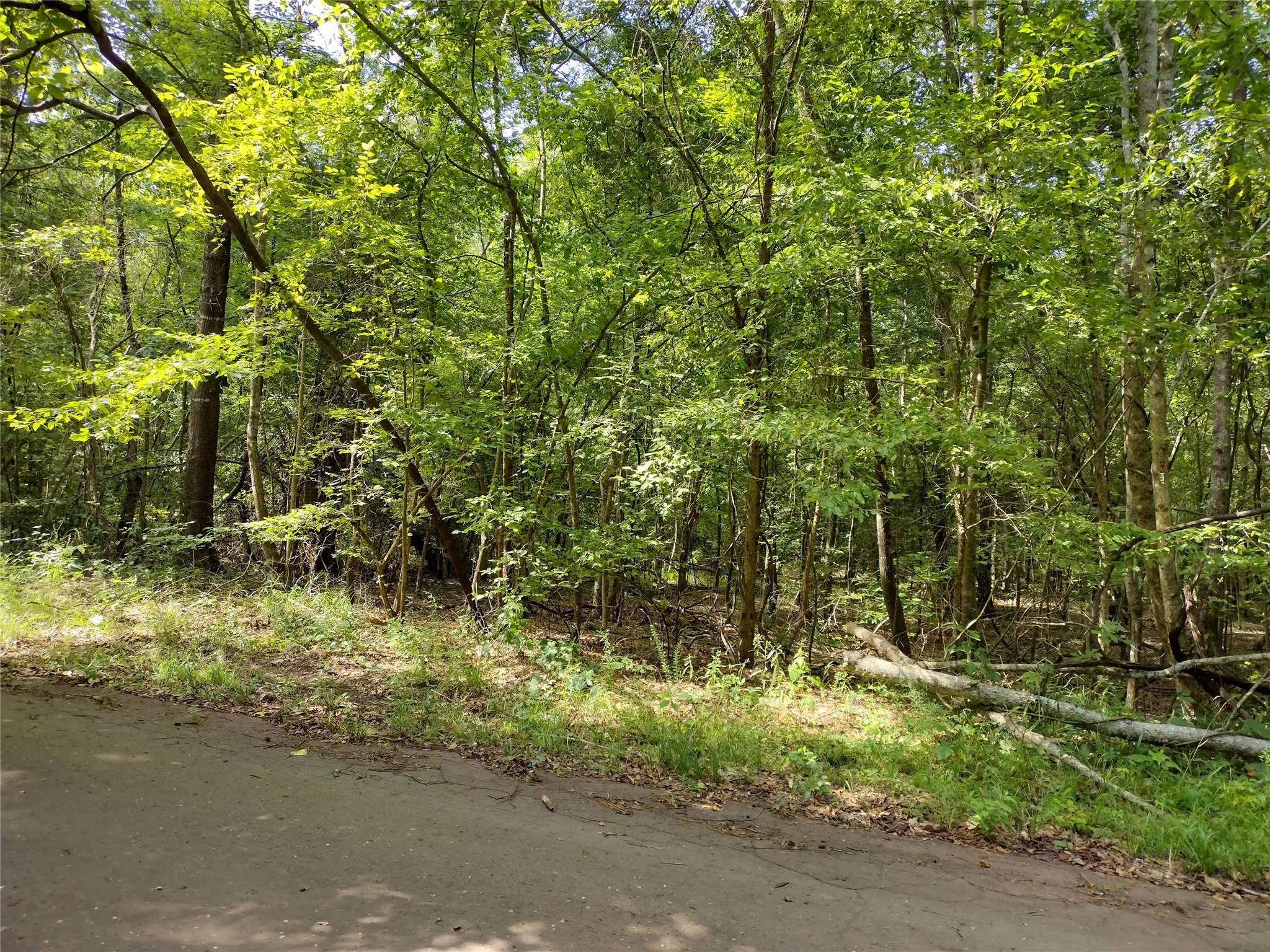 Unimproved Land For Sale in Marion County , TBD Willow Point Marina Road, Avinger, Texas 75668, 0, 0, Garage spaces, 0 Sqft, built in 0, Price $99,000, mls#21149481, Real Estate Agent in Avinger, Homes For Sale in Marion county, Homes For Sale in Avinger, Realtor in Avinger Texas, Real Estate Brokerage Independent Realty Texas, Luminita Cordes Realtor