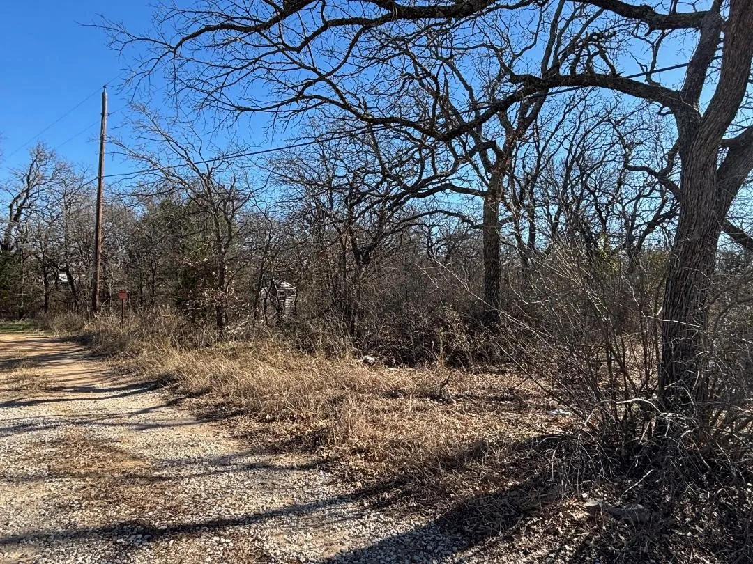 Heavily Wooded