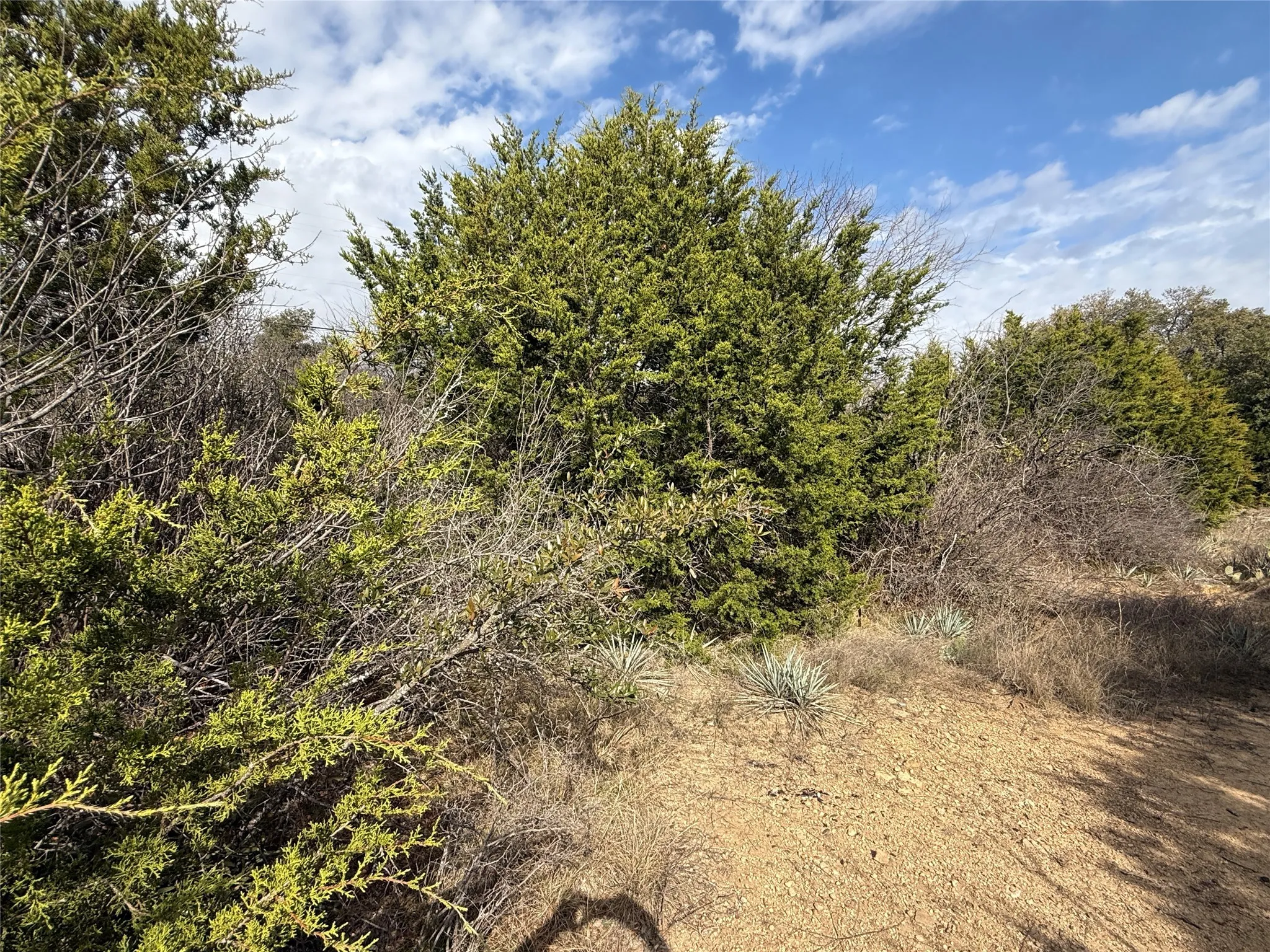 Unimproved Land For Sale in Brown County , TBD La Vista Drive, Brownwood, Texas 76801, 0, 0, Garage spaces, 0 Sqft, built in 0, Unknown, mls#21147914, Real Estate Agent in Brownwood, Homes For Sale in Brown county, Homes For Sale in Brownwood, Realtor in Brownwood Texas, Real Estate Brokerage Independent Realty Texas, Luminita Cordes Realtor