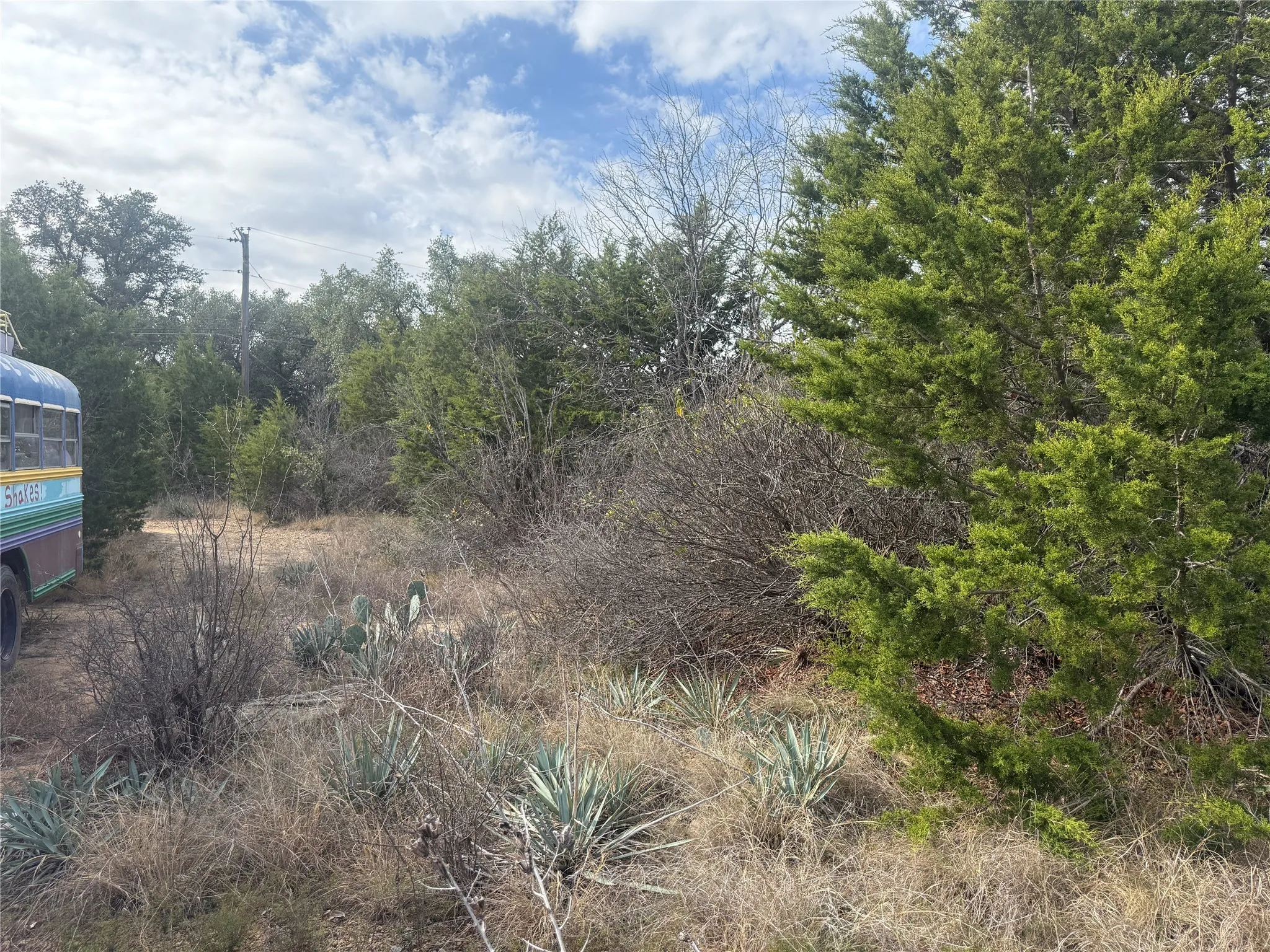 Unimproved Land For Sale in Brown County , TBD2 La Vista Drive, Brownwood, Texas 76801, 0, 0, Garage spaces, 0 Sqft, built in 0, mls#21149668, Real Estate Agent in Brownwood, Homes For Sale in Brown county, Homes For Sale in Brownwood, Realtor in Brownwood Texas, Real Estate Brokerage Independent Realty Texas, Luminita Cordes Realtor