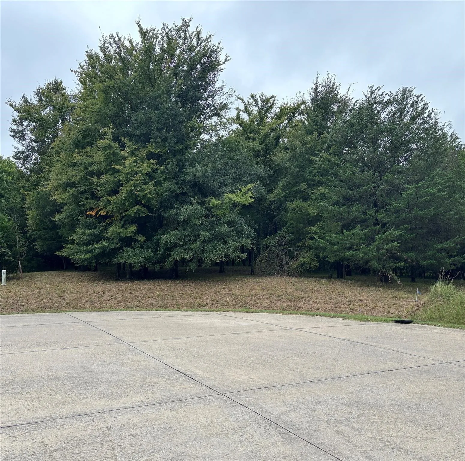 Unimproved Land For Sale in Kaufman County , 2099 Parkview Drive, Wills Point, Texas 75169, 0, 0, Garage spaces, 0 Sqft, built in 0, mls#21149697, Real Estate Agent in Wills Point, Homes For Sale in Kaufman county, Homes For Sale in Wills Point, Realtor in Wills Point Texas, Real Estate Brokerage Independent Realty Texas, Luminita Cordes Realtor