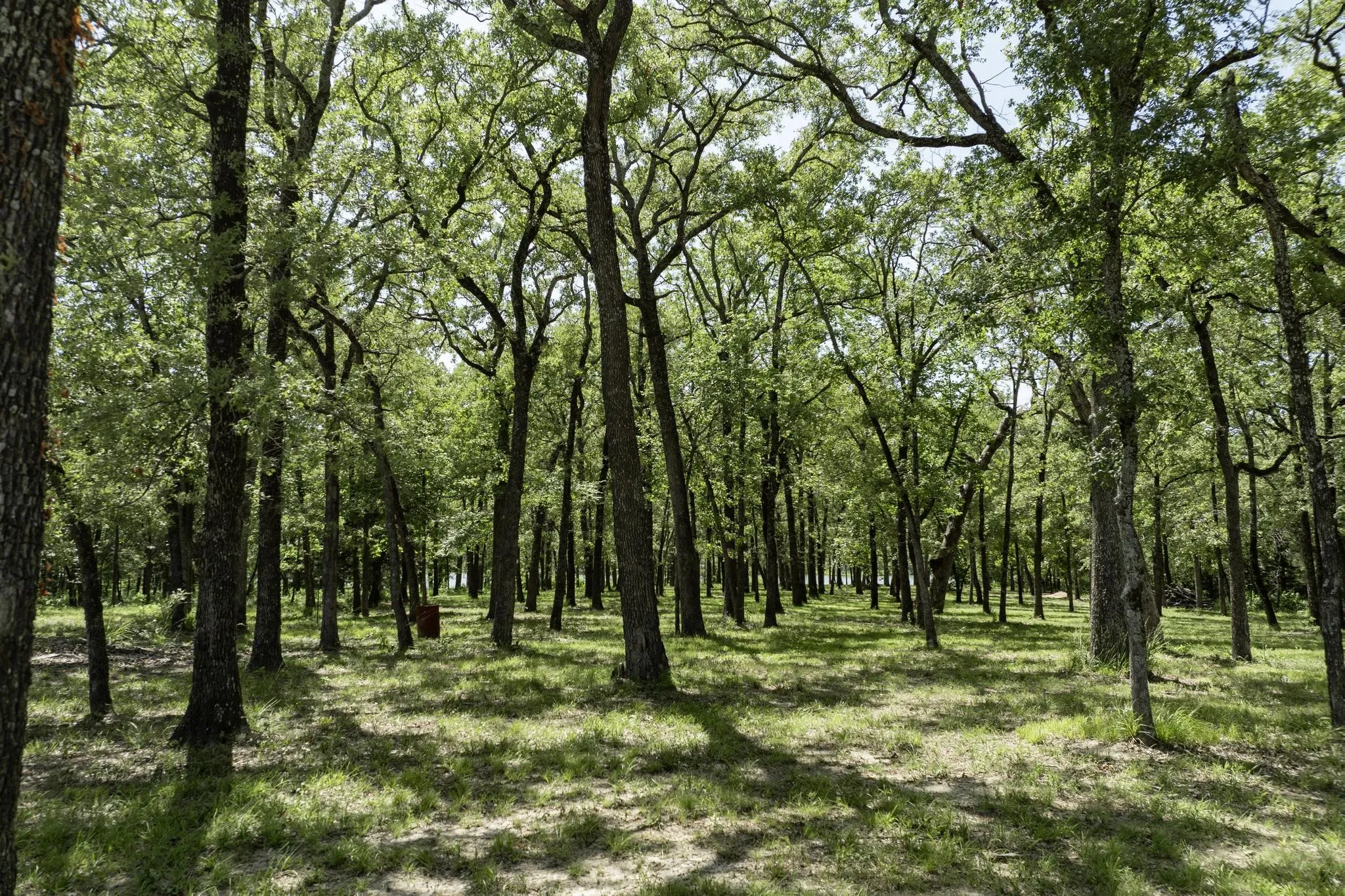 Unimproved Land For Sale in Hunt County , Lot 71 Anchor, Quinlan, Texas 75474, 0, 0, Garage spaces, 0 Sqft, built in 0, mls#21149776, Real Estate Agent in Quinlan, Homes For Sale in Hunt county, Homes For Sale in Quinlan, Realtor in Quinlan Texas, Real Estate Brokerage Independent Realty Texas, Luminita Cordes Realtor