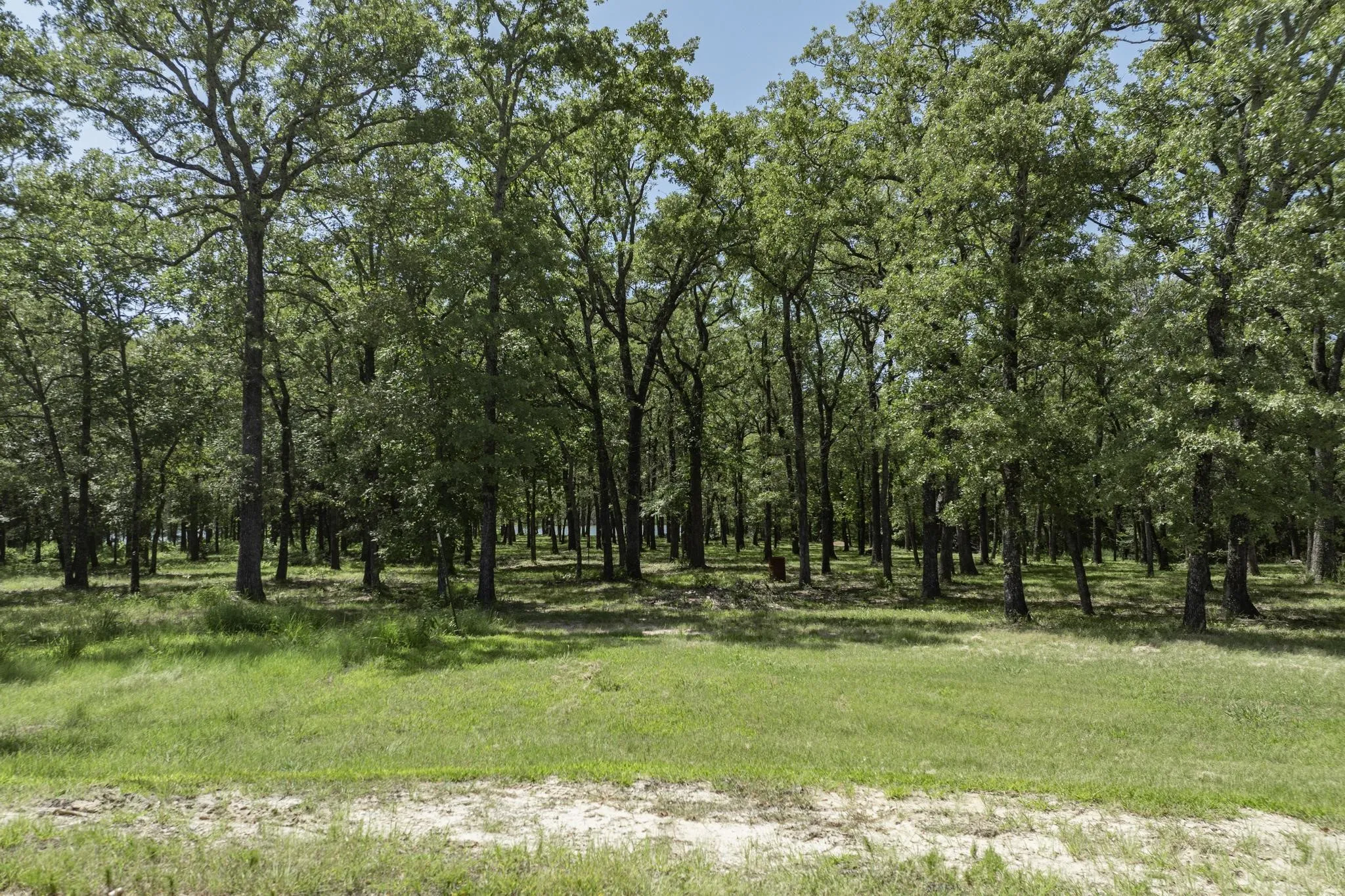 Unimproved Land For Sale in Hunt County , Lot 71 Anchor, Quinlan, Texas 75474, 0, 0, Garage spaces, 0 Sqft, built in 0, mls#21149776, Real Estate Agent in Quinlan, Homes For Sale in Hunt county, Homes For Sale in Quinlan, Realtor in Quinlan Texas, Real Estate Brokerage Independent Realty Texas, Luminita Cordes Realtor
