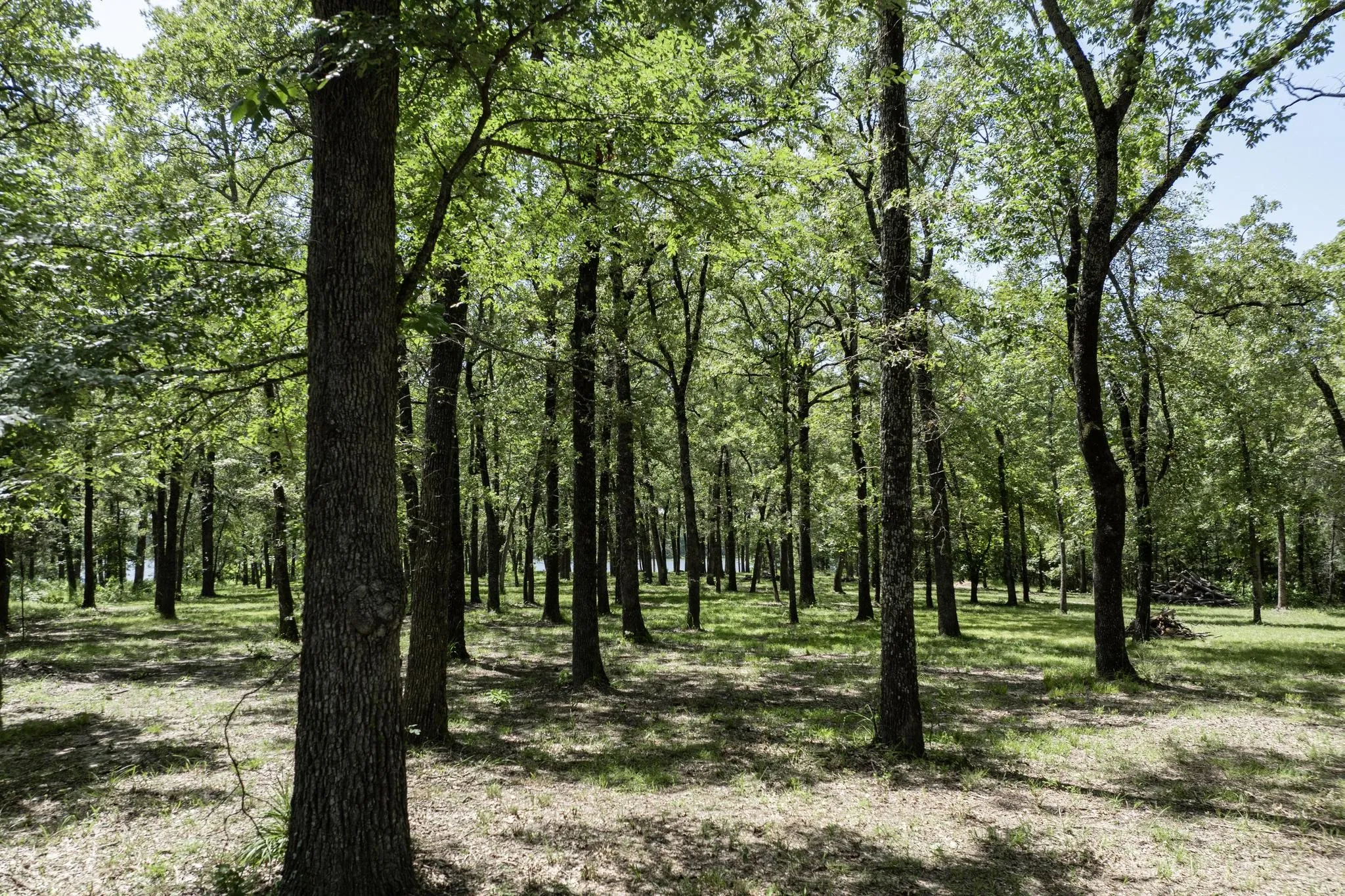 Unimproved Land For Sale in Hunt County , Lot 71 Anchor, Quinlan, Texas 75474, 0, 0, Garage spaces, 0 Sqft, built in 0, mls#21149776, Real Estate Agent in Quinlan, Homes For Sale in Hunt county, Homes For Sale in Quinlan, Realtor in Quinlan Texas, Real Estate Brokerage Independent Realty Texas, Luminita Cordes Realtor