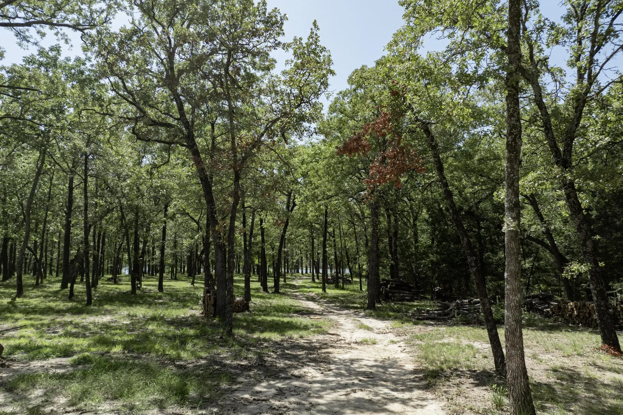Unimproved Land For Sale in Hunt County , Lot 71 Anchor, Quinlan, Texas 75474, 0, 0, Garage spaces, 0 Sqft, built in 0, mls#21149776, Real Estate Agent in Quinlan, Homes For Sale in Hunt county, Homes For Sale in Quinlan, Realtor in Quinlan Texas, Real Estate Brokerage Independent Realty Texas, Luminita Cordes Realtor