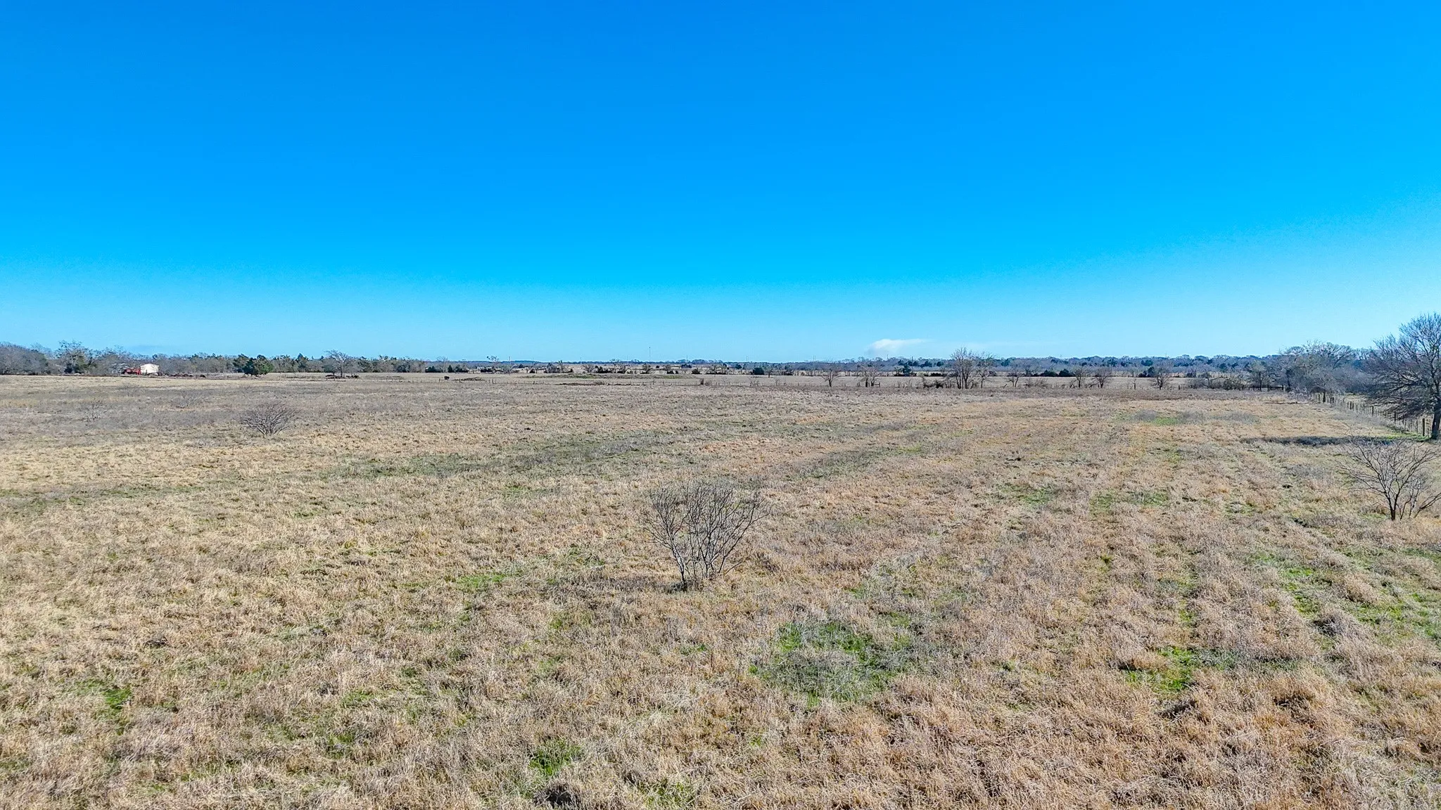 Unimproved Land For Sale in Navarro County , Lot 1 NE CR 2160, Kerens, Texas 75144, 0, 0, Garage spaces, 0 Sqft, built in 0, mls#21149793, Real Estate Agent in Kerens, Homes For Sale in Navarro county, Homes For Sale in Kerens, Realtor in Kerens Texas, Real Estate Brokerage Independent Realty Texas, Luminita Cordes Realtor